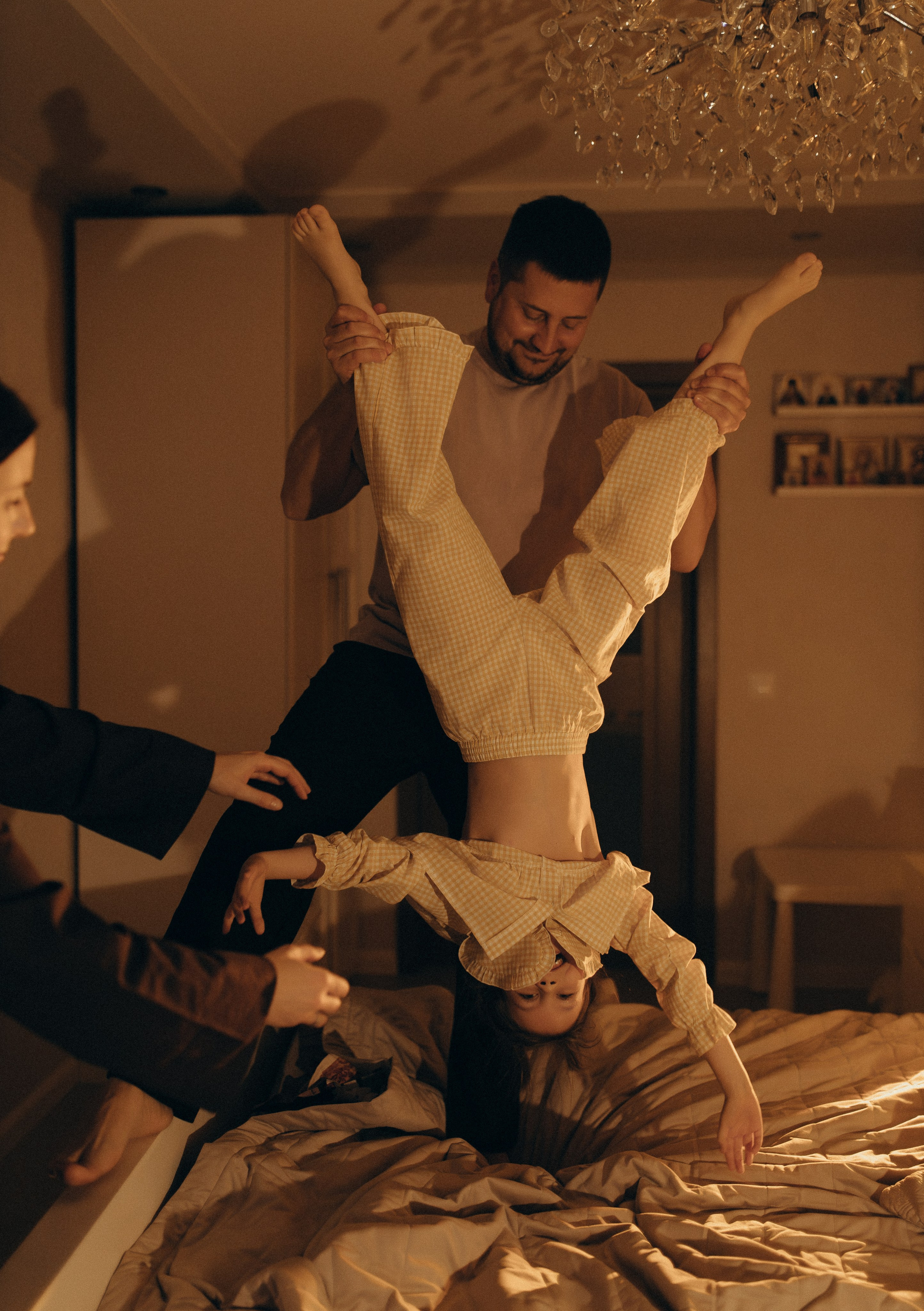 Домашняя история. Meryfotoidea