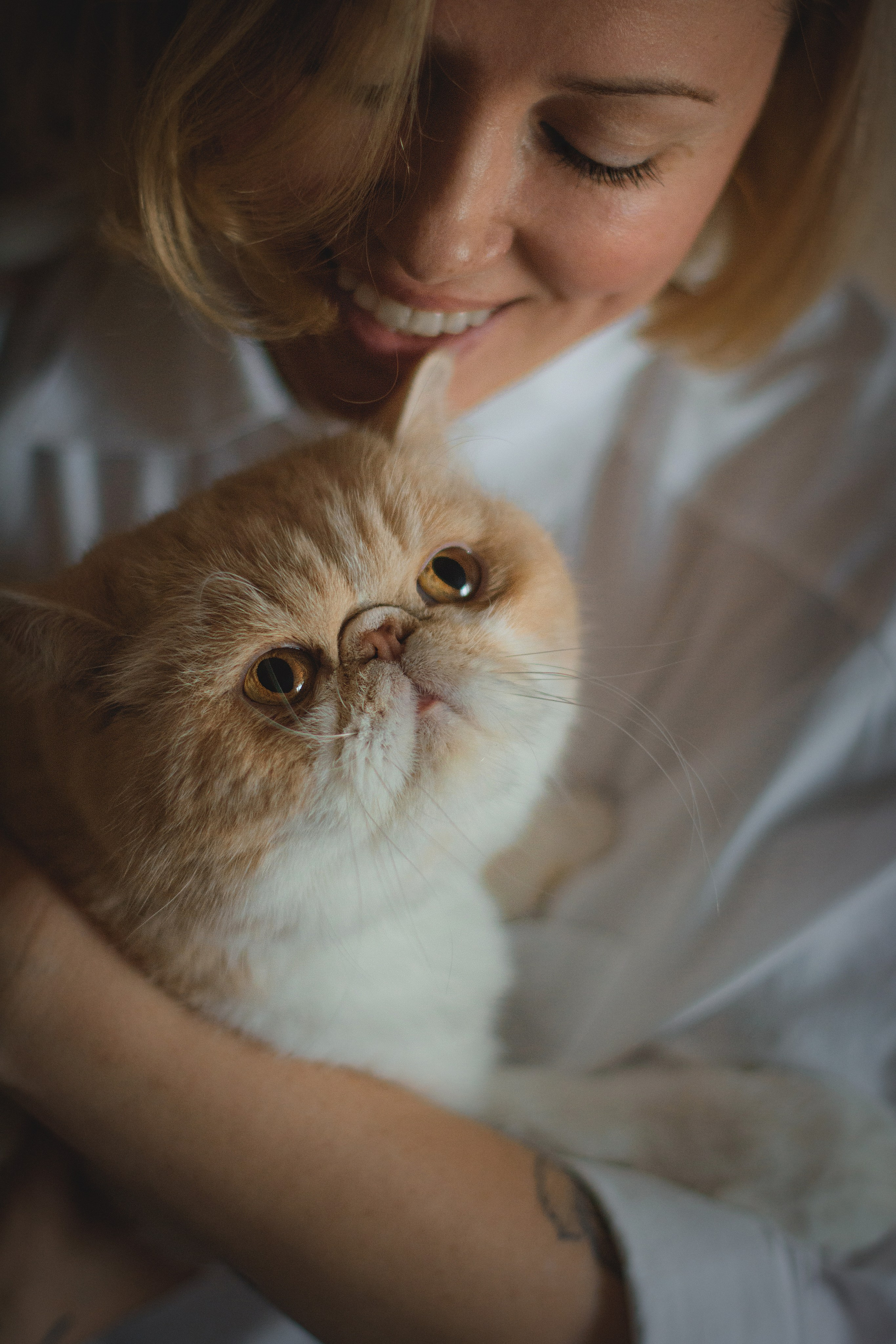 Домашняя фотосессия в Москве с животными. Фотограф собак, анималист в Москве Кира Яковлева