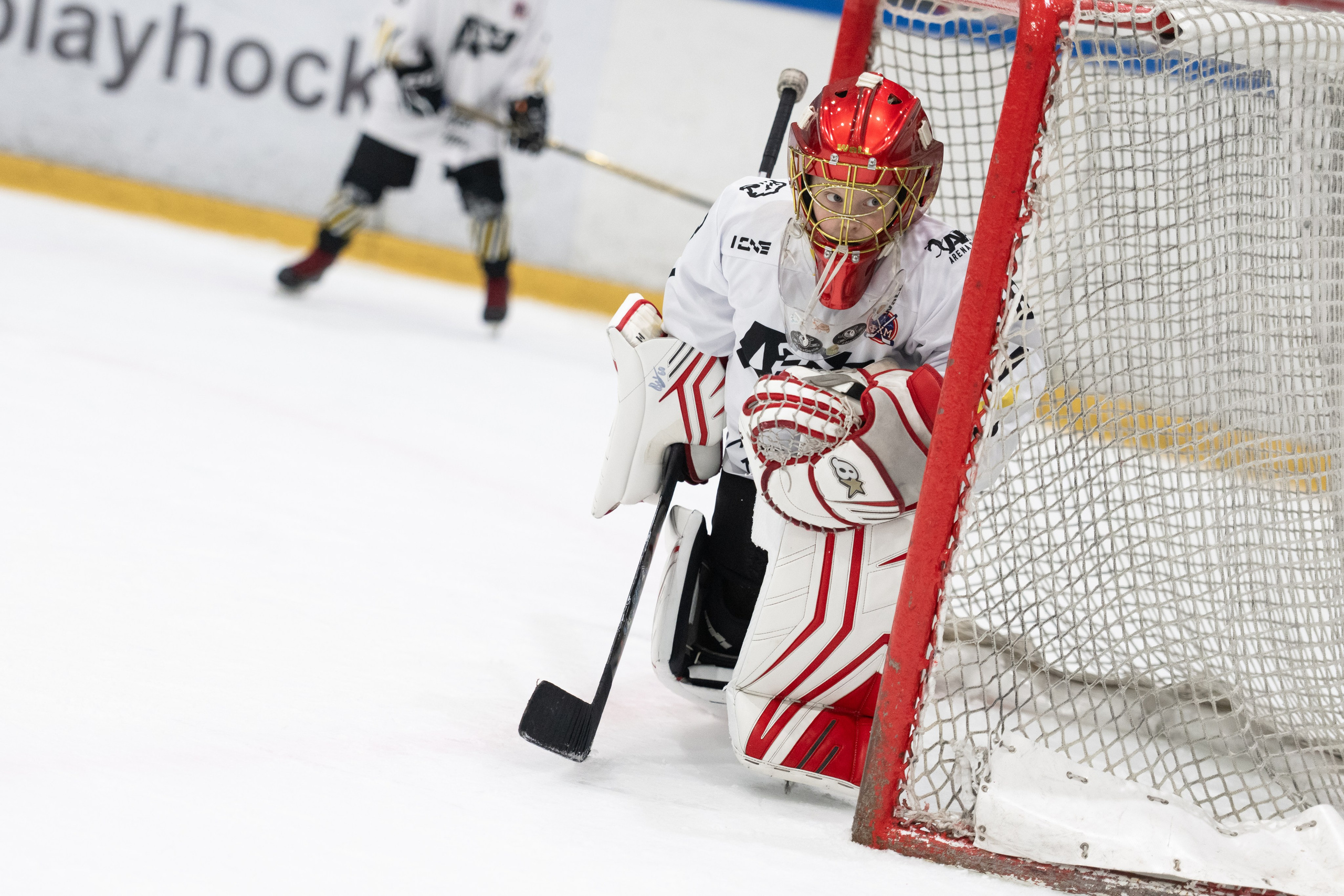 МК Артемия ПАНАРИНА. ДИНА МИХНЕВА спортивный фотограф Москва