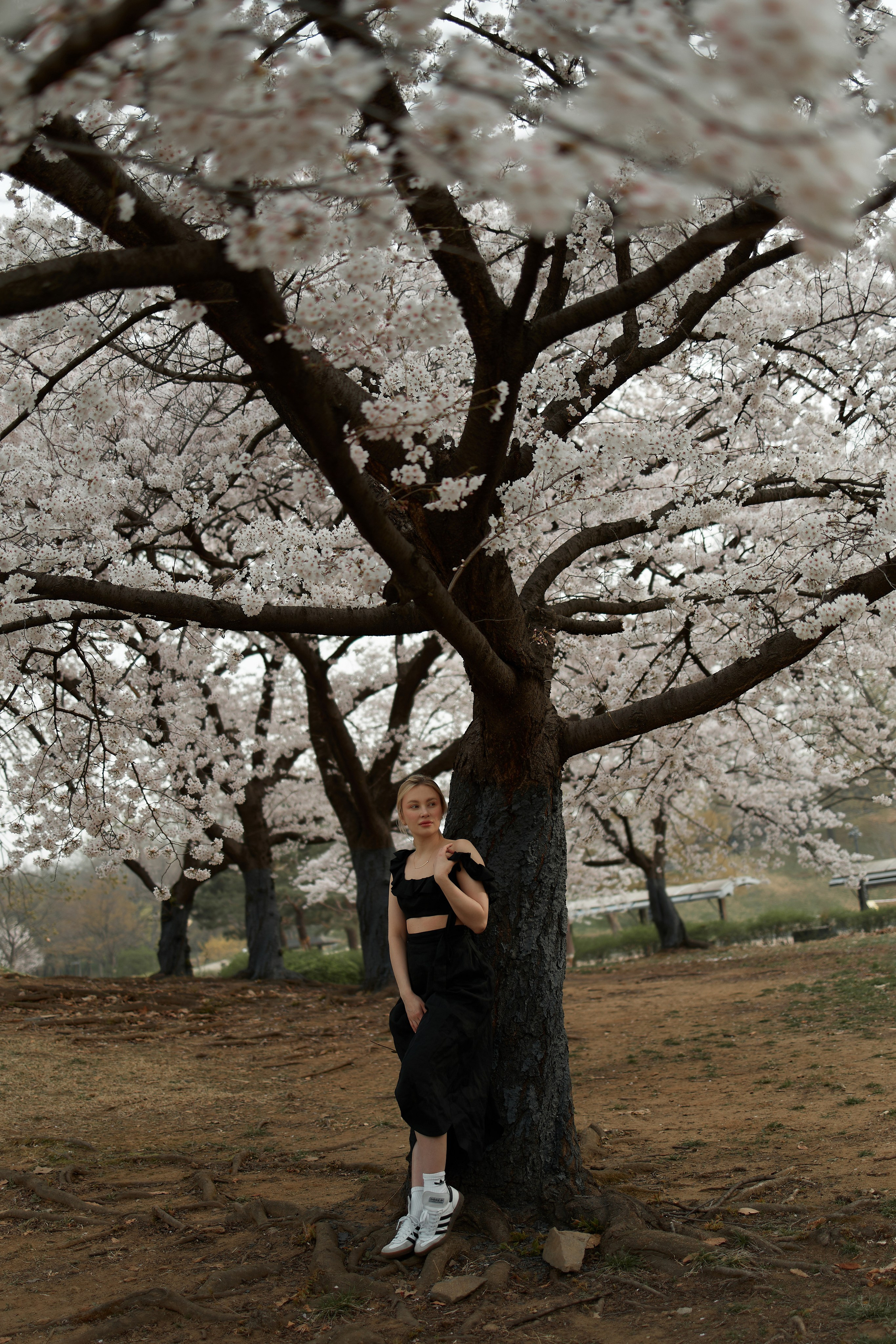 Таня | Сеул. Katerina Simina — worldwide photographer | Europe