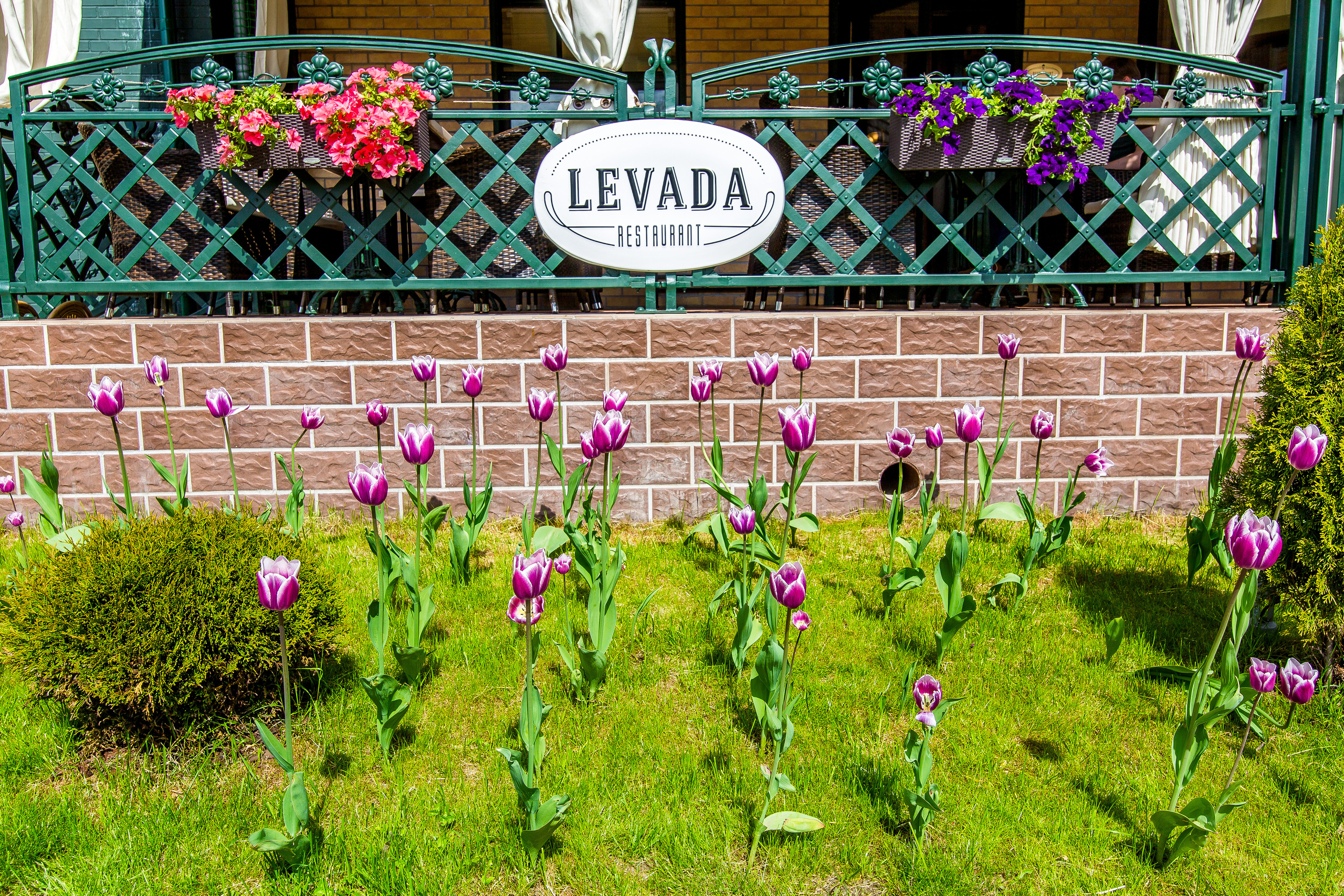 РЕСТОРАН для рекламы. Главная