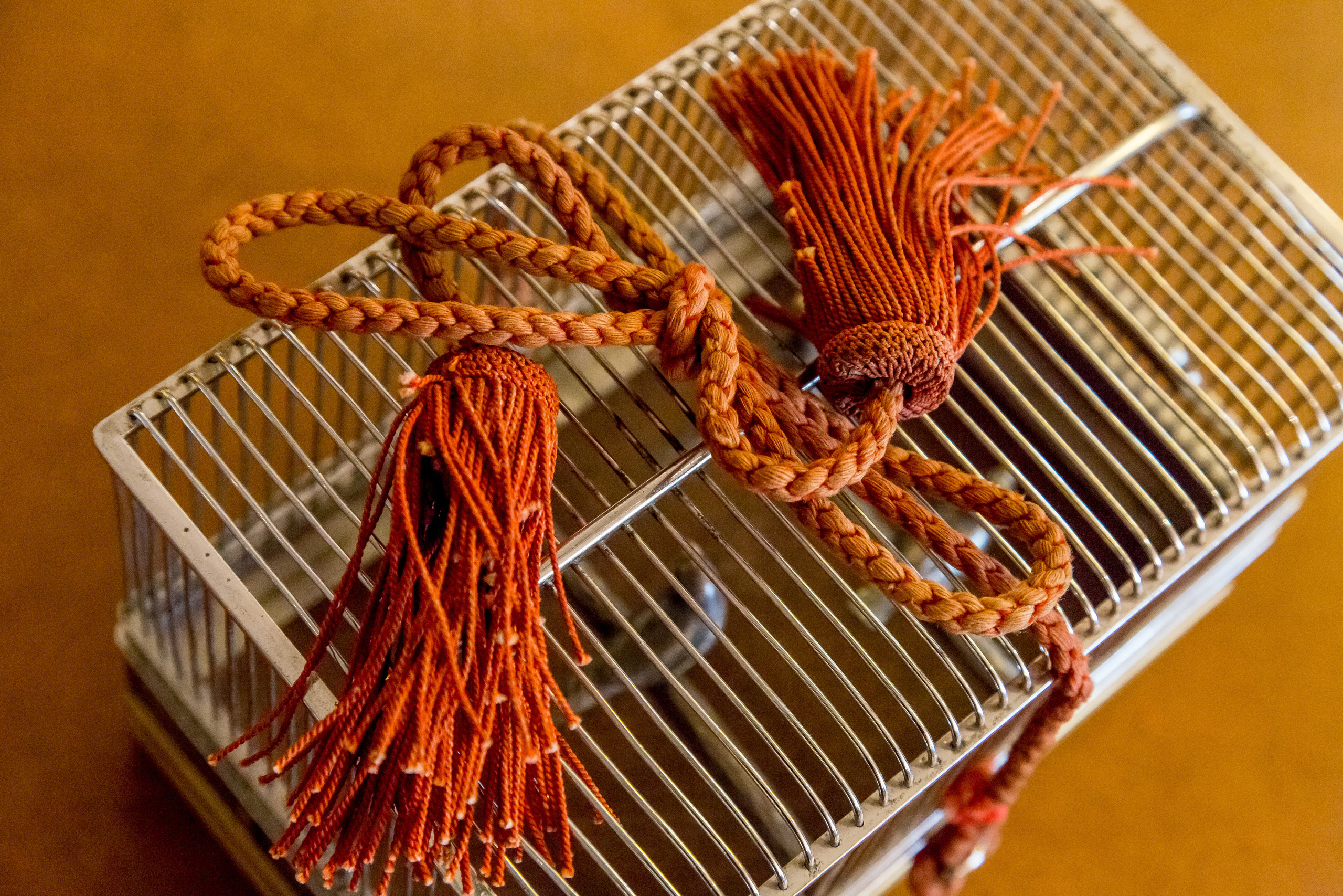 АНТИКВАРИАТ. Главная