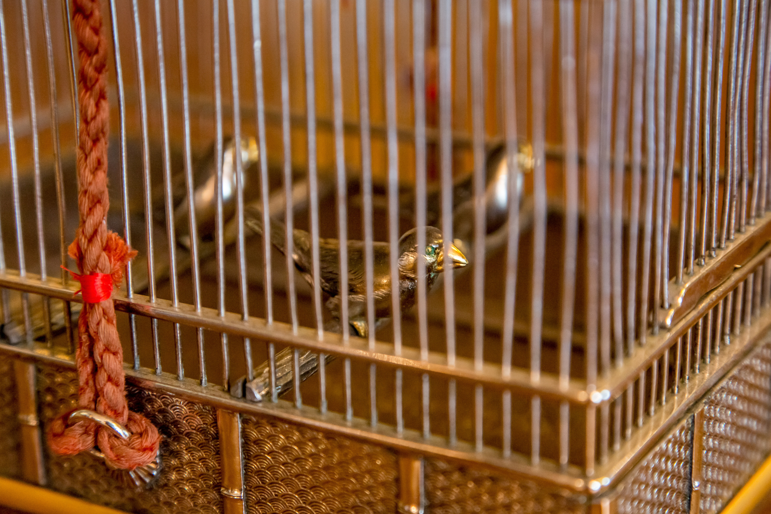 АНТИКВАРИАТ. Главная