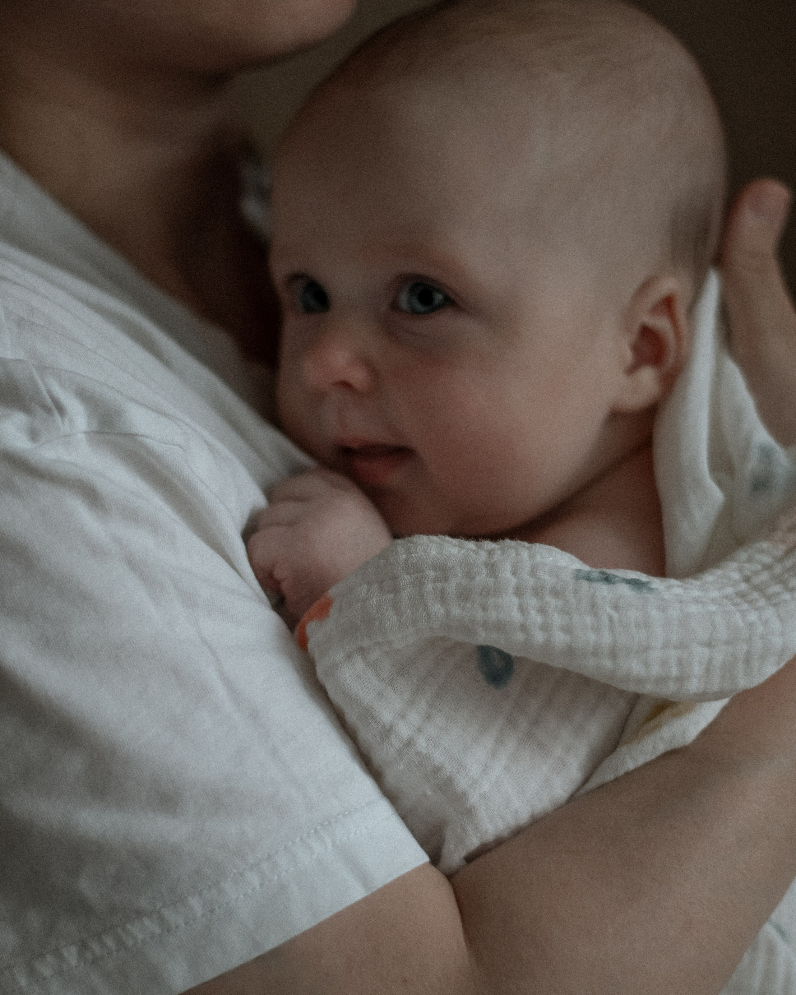 Настя и Мия. Свадебный и семейный фотограф Санкт-Петербург