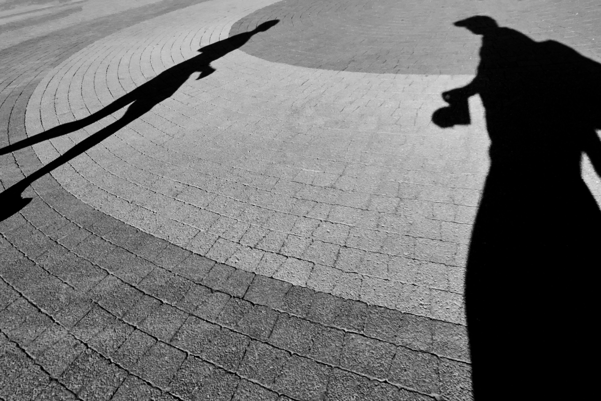 Жизнь, люди, стрит, вокруг, животные, на улице. Яркие фото на Чёрном море