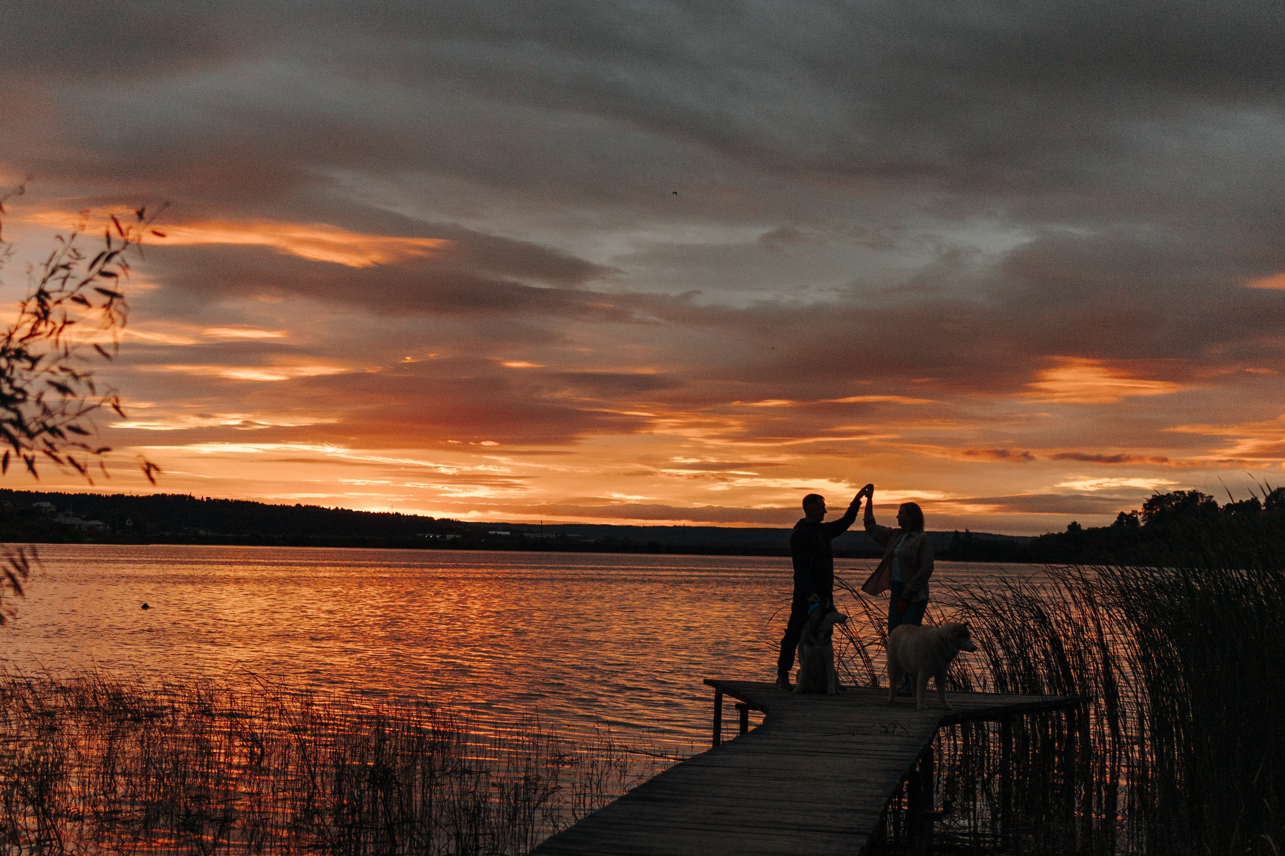 Дом у реки. Фотограф — Анималист | Санкт-Петербург