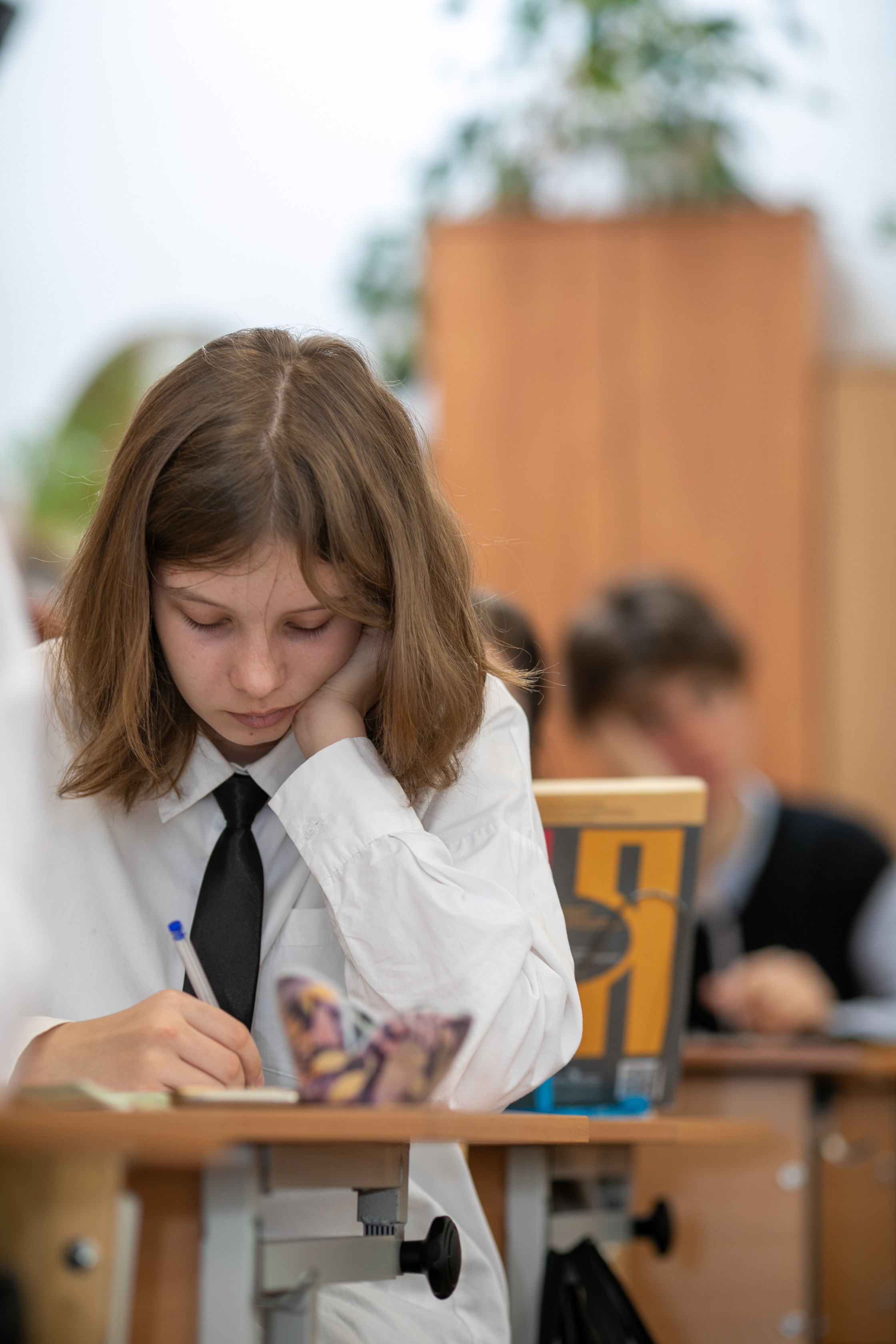 Репортаж с уроков. Школьный и детский фотограф в Южно-Сахалинске Анастасия Лескова