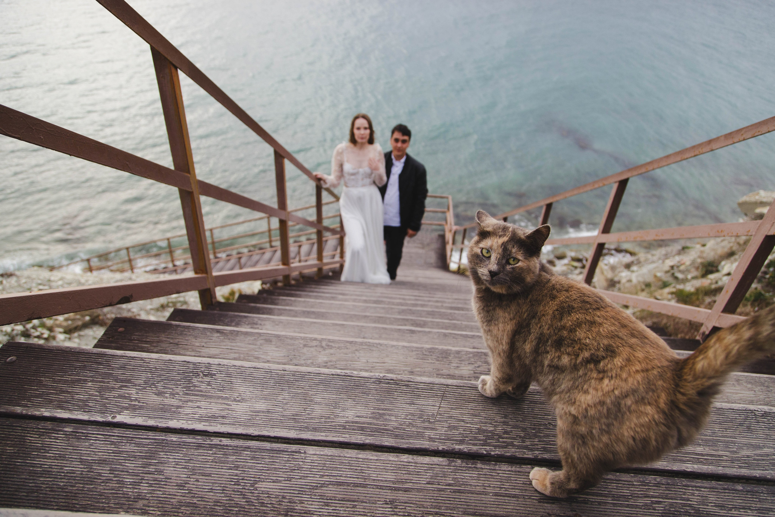 Свадебное портфолио. Семейный и свадебный фотограф в Новороссийске