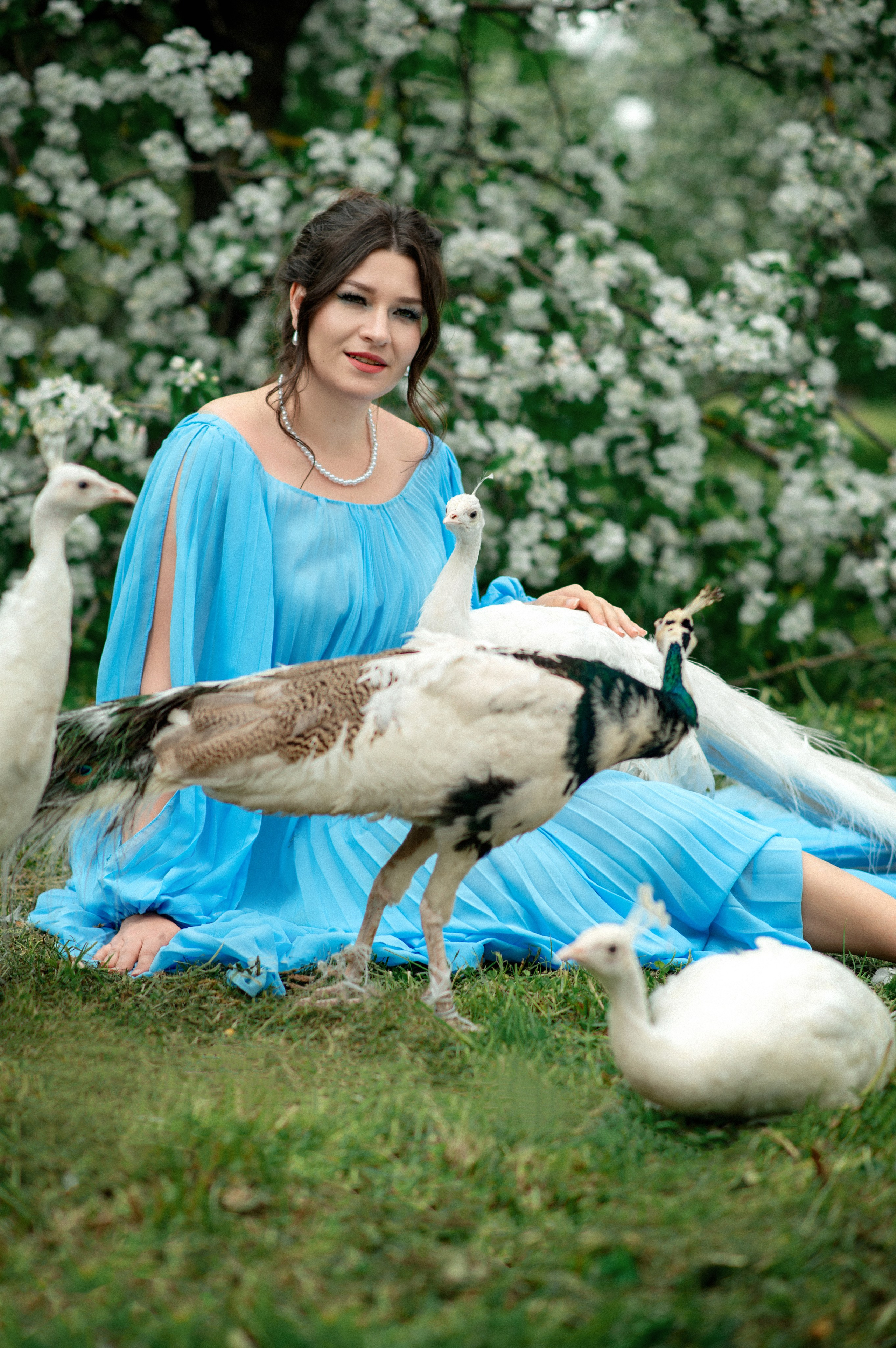Алена. Съемка с павлинами. Фотограф в Санкт-Петербурге Ковалева Елизавета