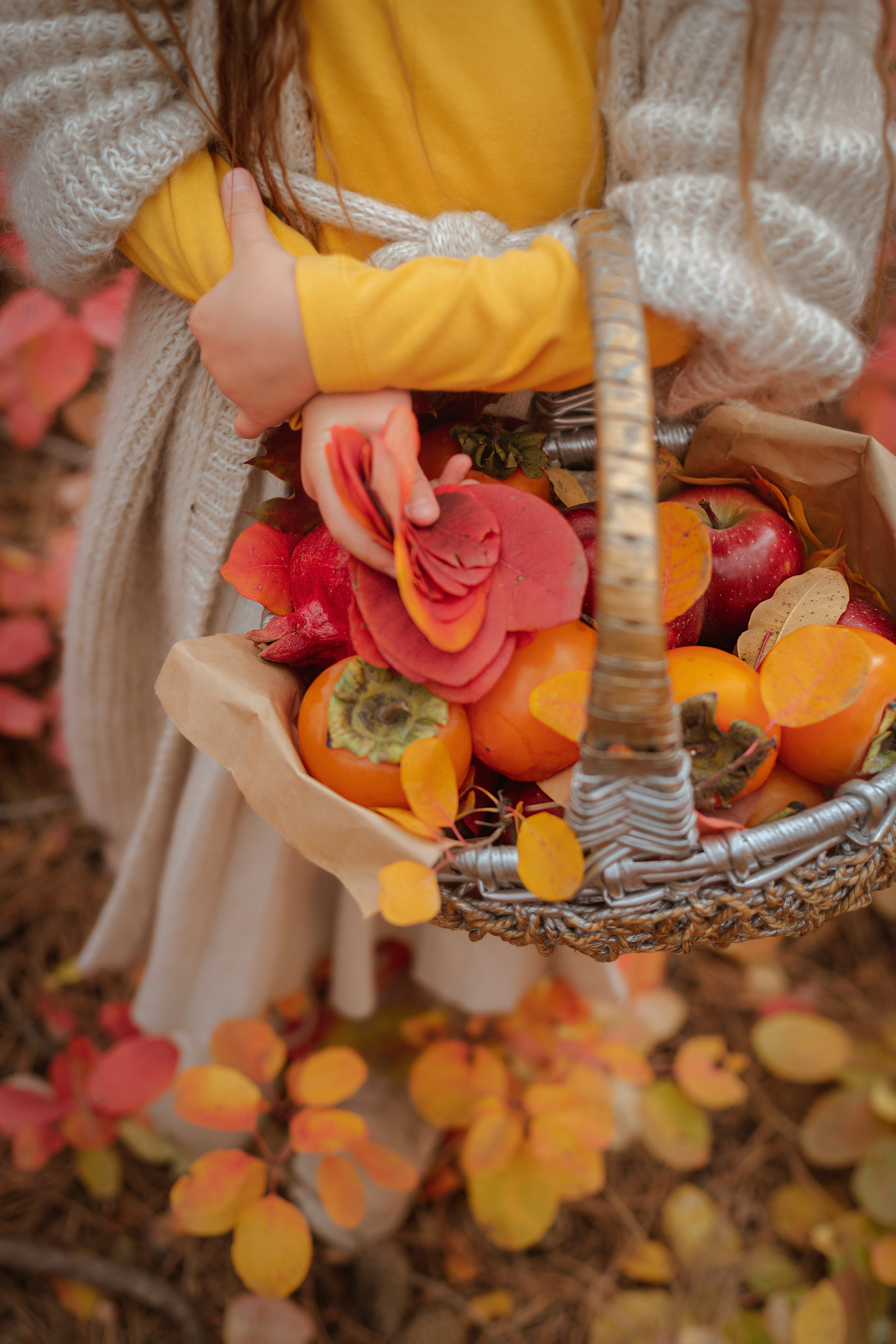 ОСЕННИЙ ЛЕС. Семейный и детский фотограф в Крыму Екатерина Швец