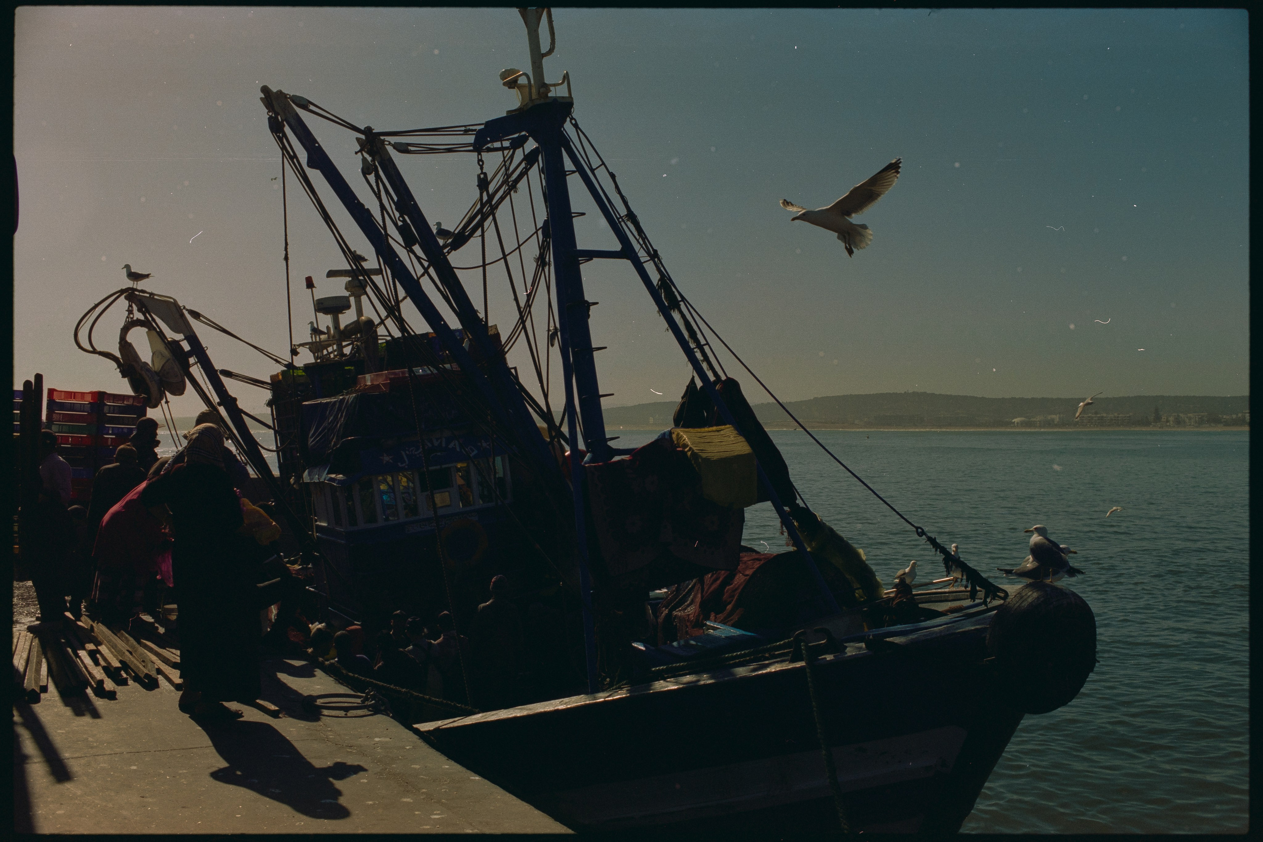 Марокко (плёнка Алёны). Игорь Гичка. Портрет с любовью