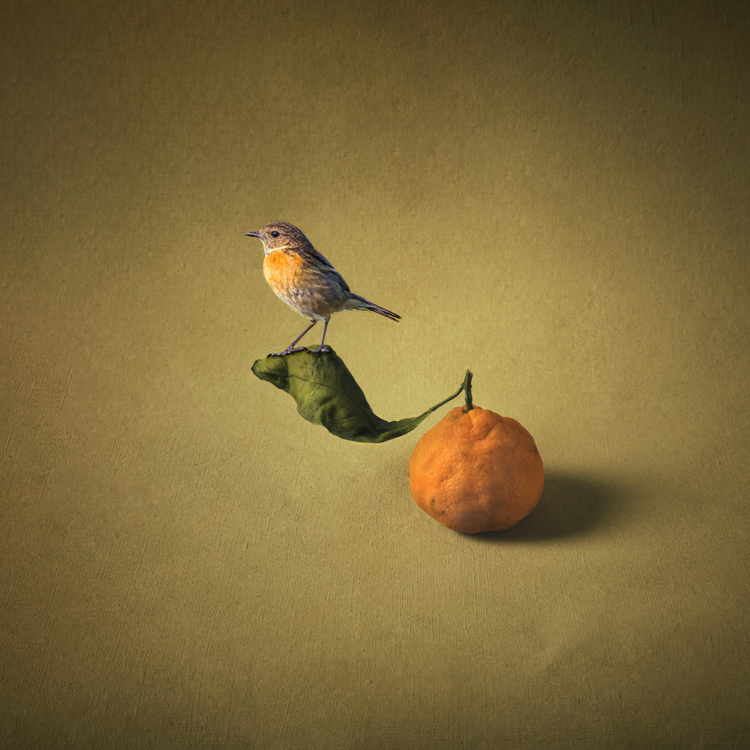 Натюрморты. Файн-Арт фотограф из Перми Вараксина Юлия