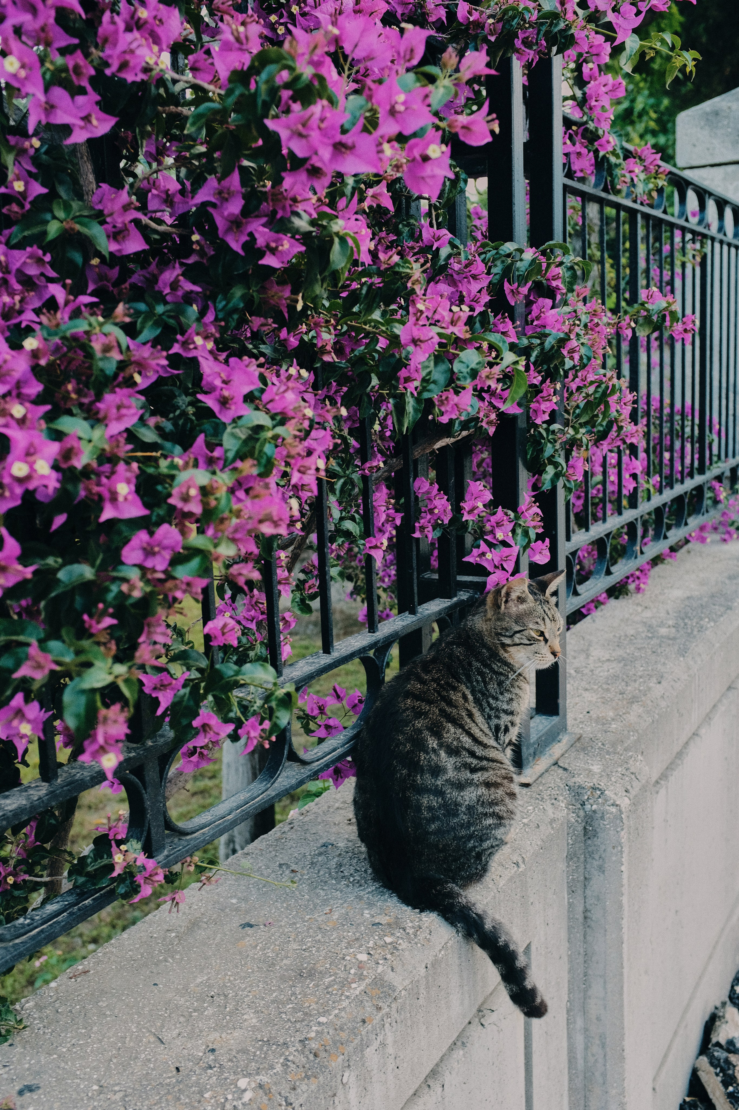 Travel. Фотограф в Челябинске — Дмитрий Носов