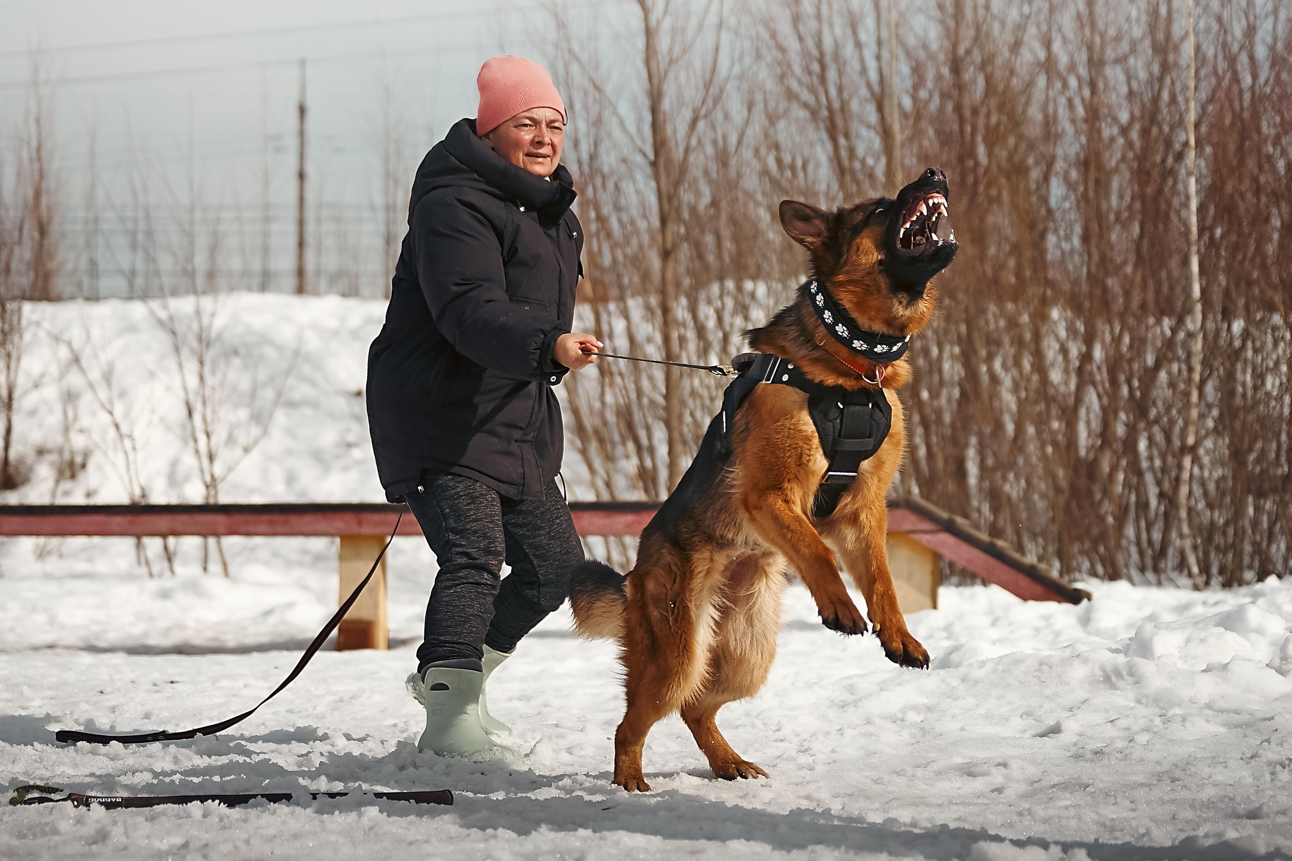 Репортажная съемка. Фотограф-анималист Нижний Новгород