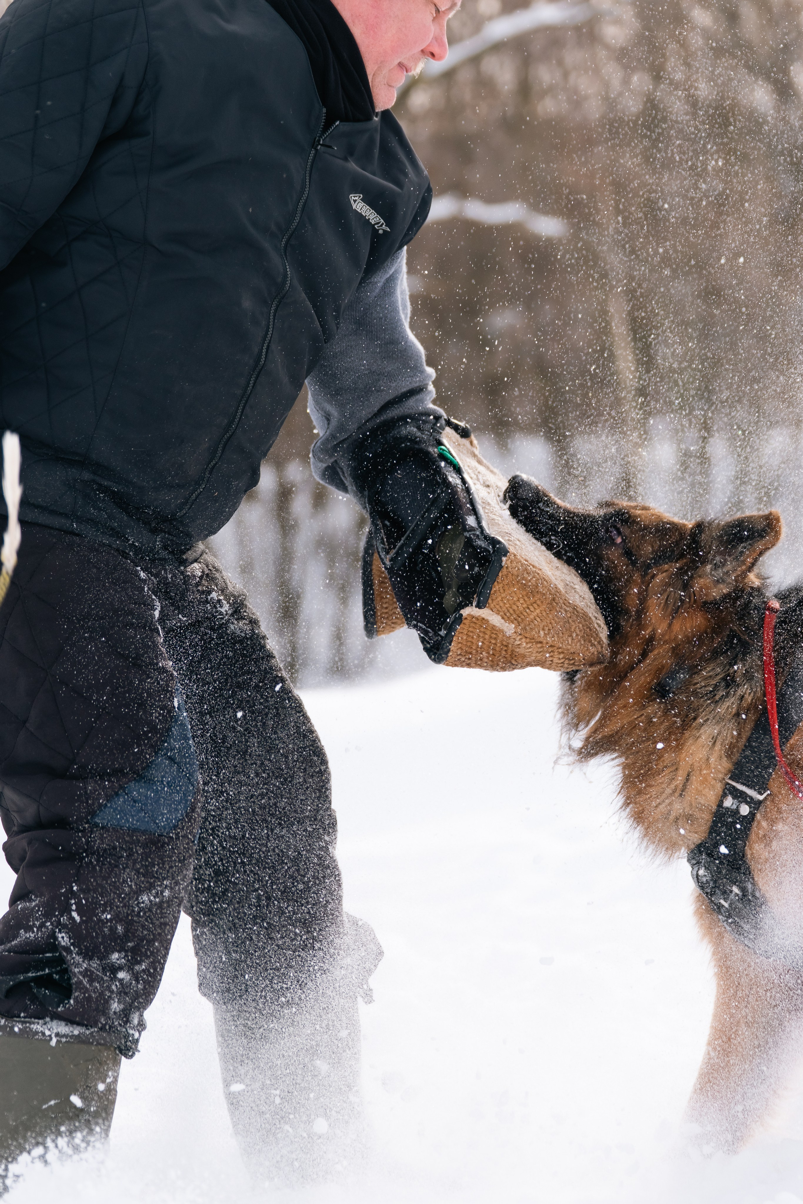 Репортажная съемка. Фотограф-анималист Нижний Новгород