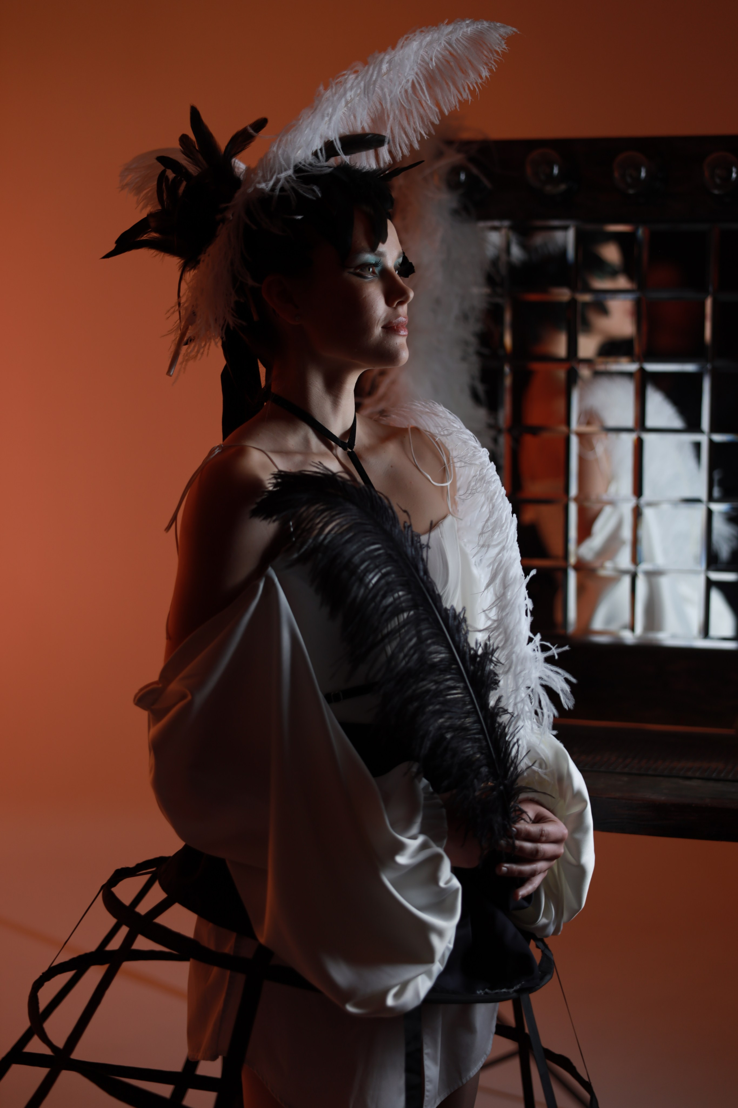 Перья. Съемка в студии под ваш запрос, студийные съемки, фотографии архитектурных объектов — Александр Евстигнеев — фотограф Москва