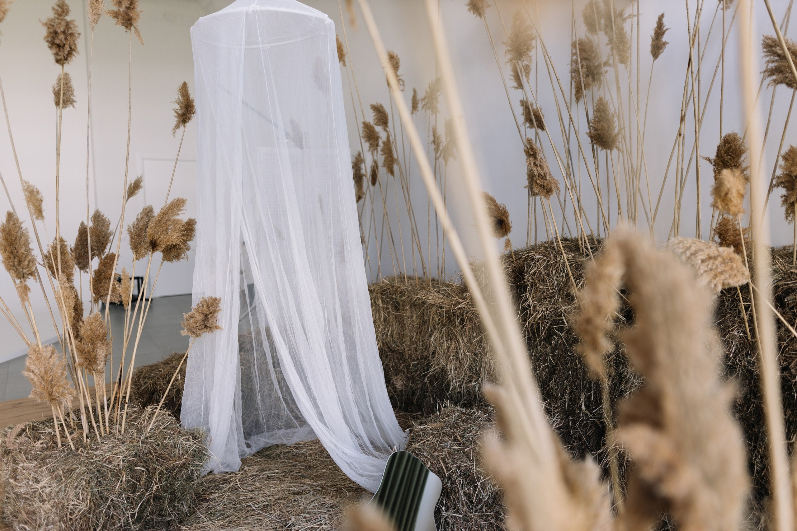 Мои проекты. Кристина Киссер |Фотограф | сняла ⩾ 2000 съёмок | главная по атмосфере