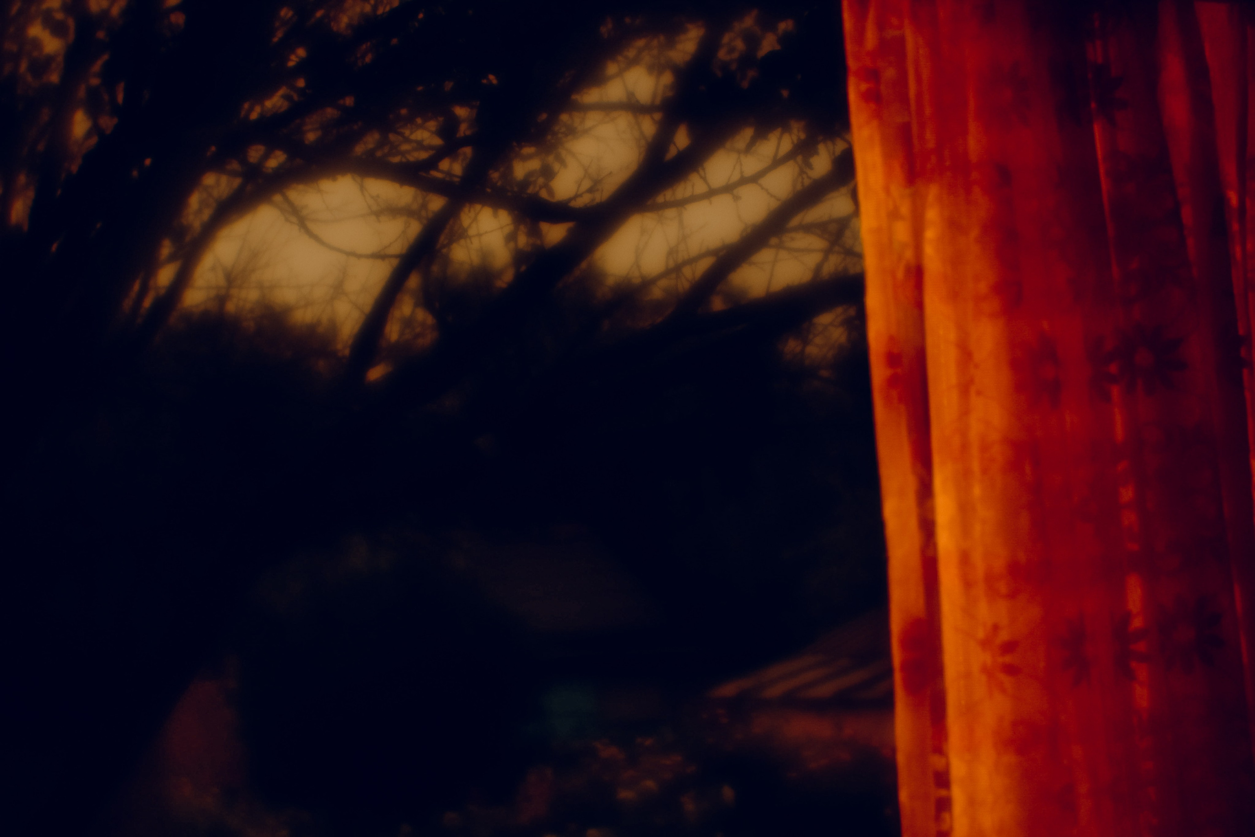 Пикториальный альбом. Семейный LIFESTYLE фотограф в Москве