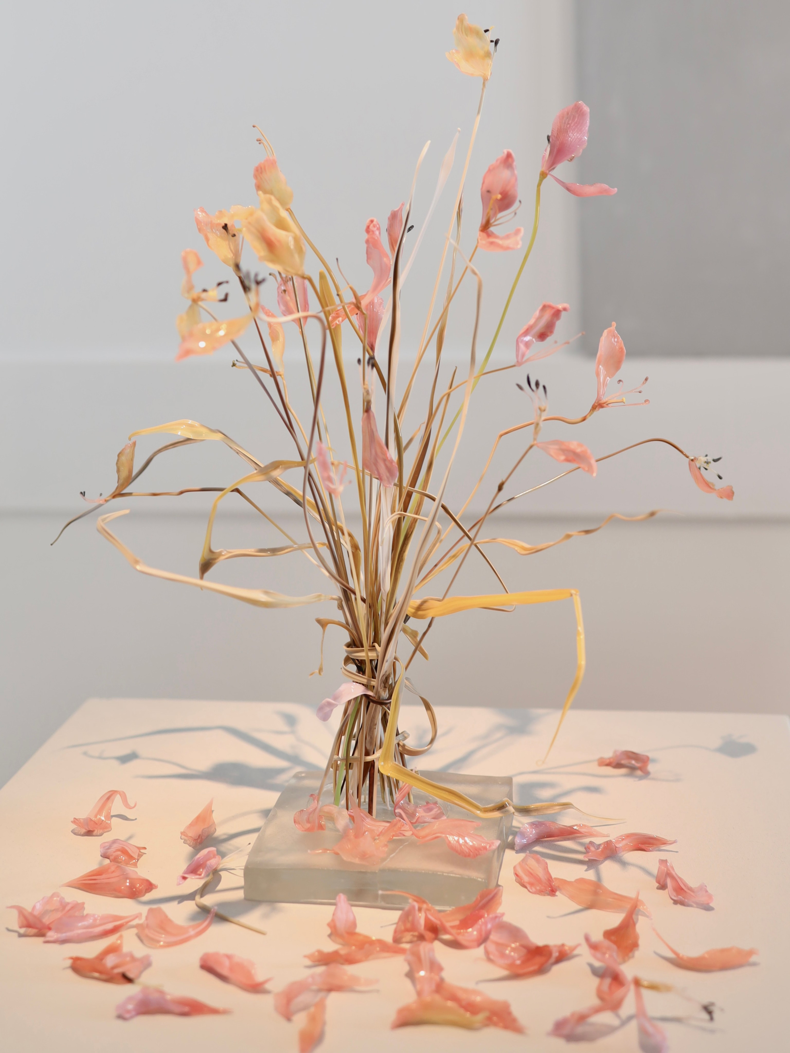 Выставка Степени прозрачности. Фотосессии и репортаж — Фотограф в Москве — Рина Серёгина