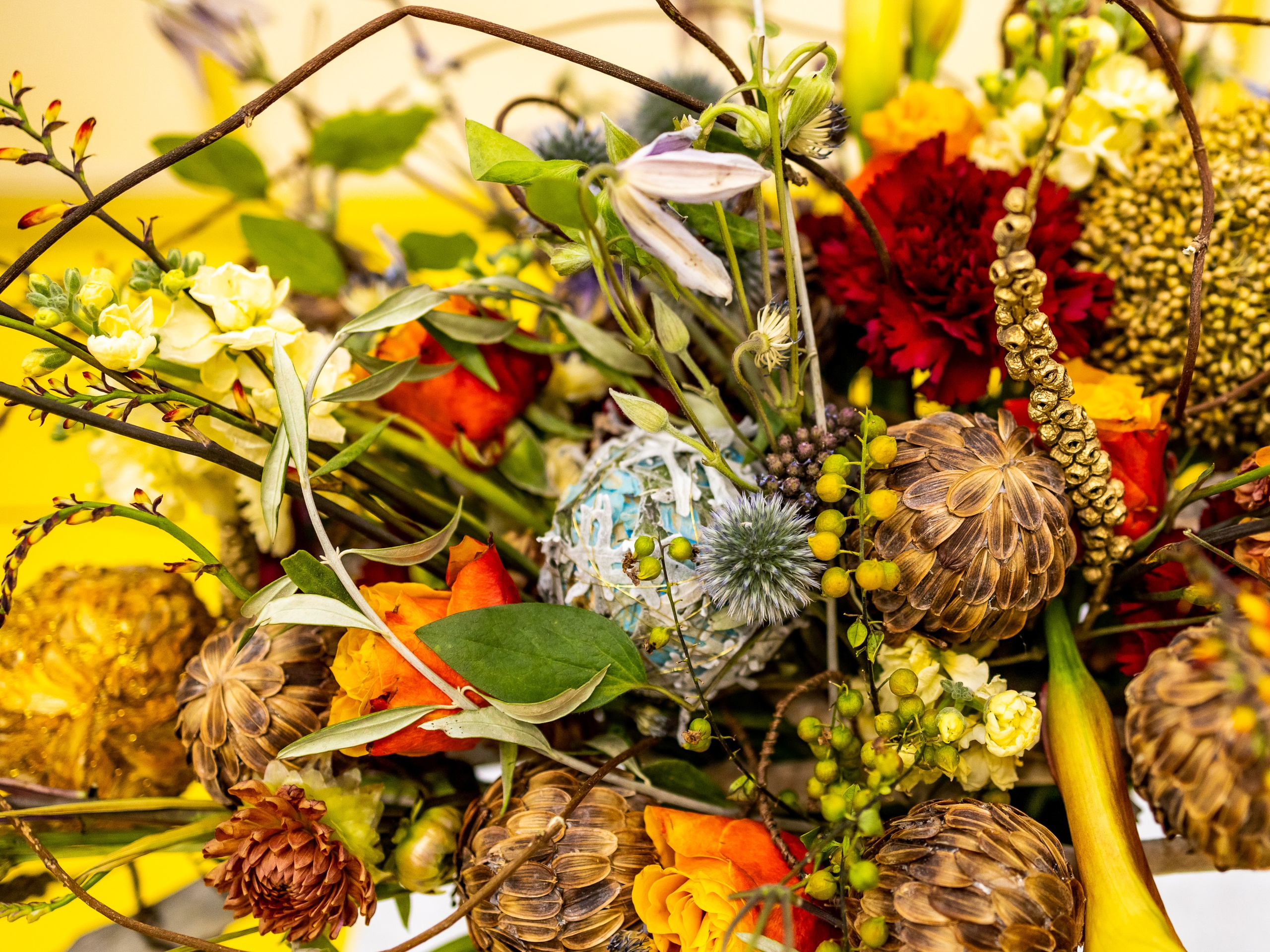 Цветы-Экспо 2024. Фотосессии и репортаж — Фотограф в Москве — Рина Серёгина