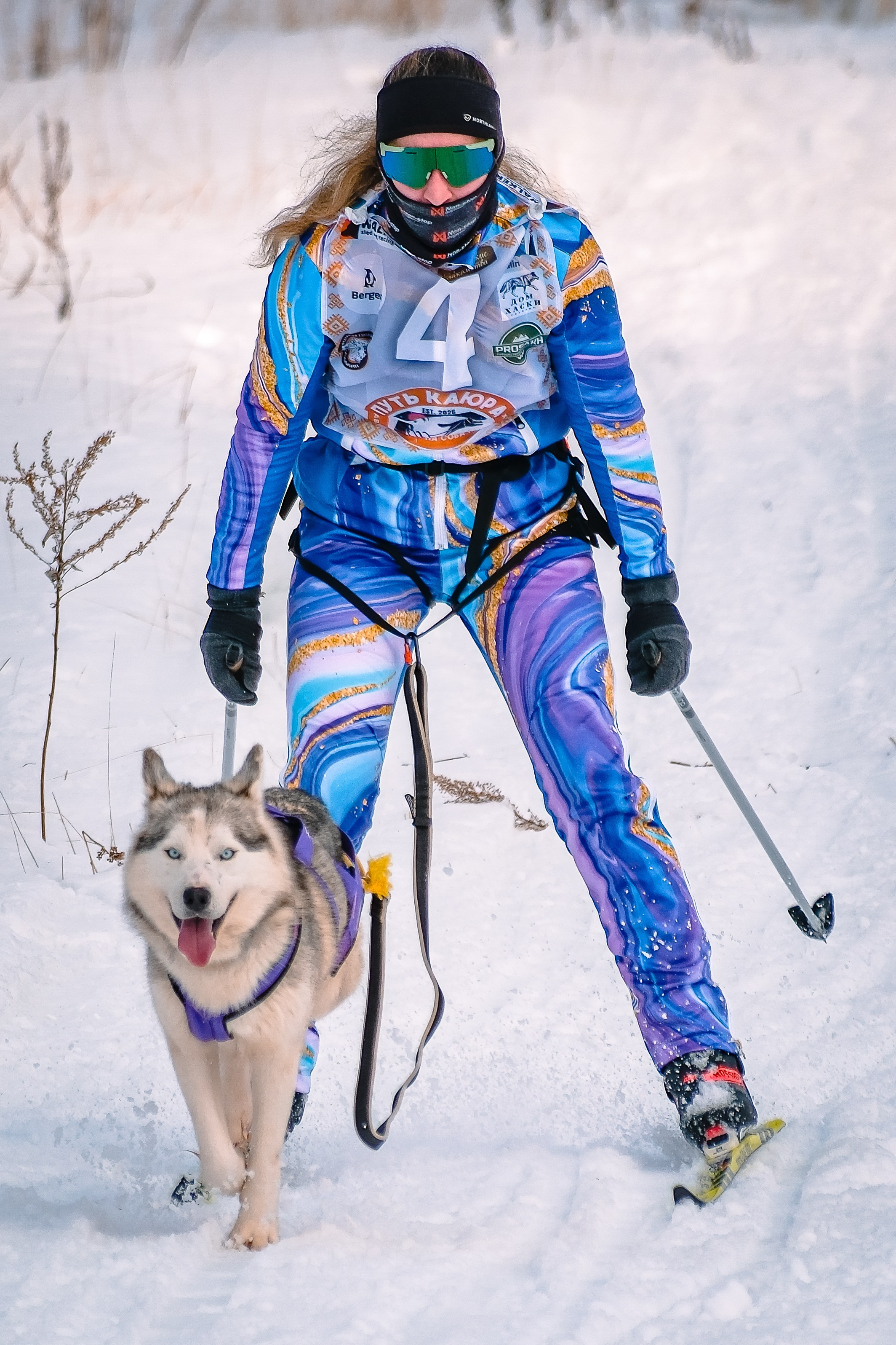 Фестиваль ездового спорта. Фотограф. г. Южно-Сахалинск. Олег Толстов