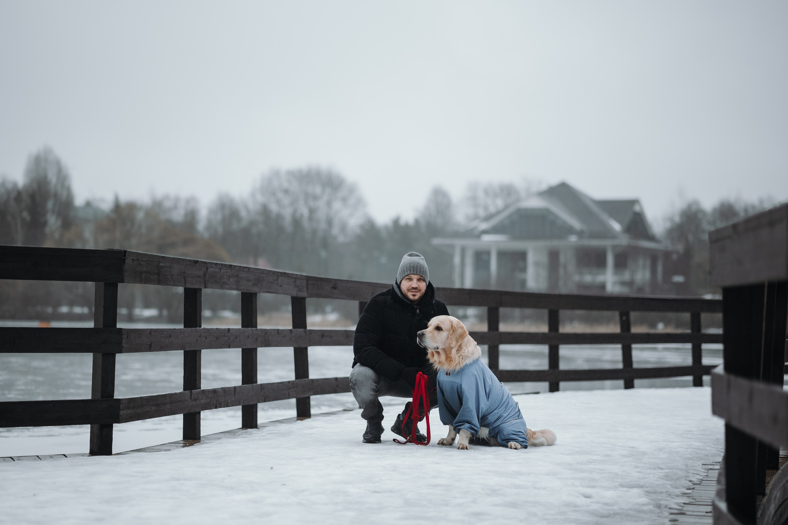 Шелби, Ватсон и ребята. Фотограф — Анималист | Санкт-Петербург