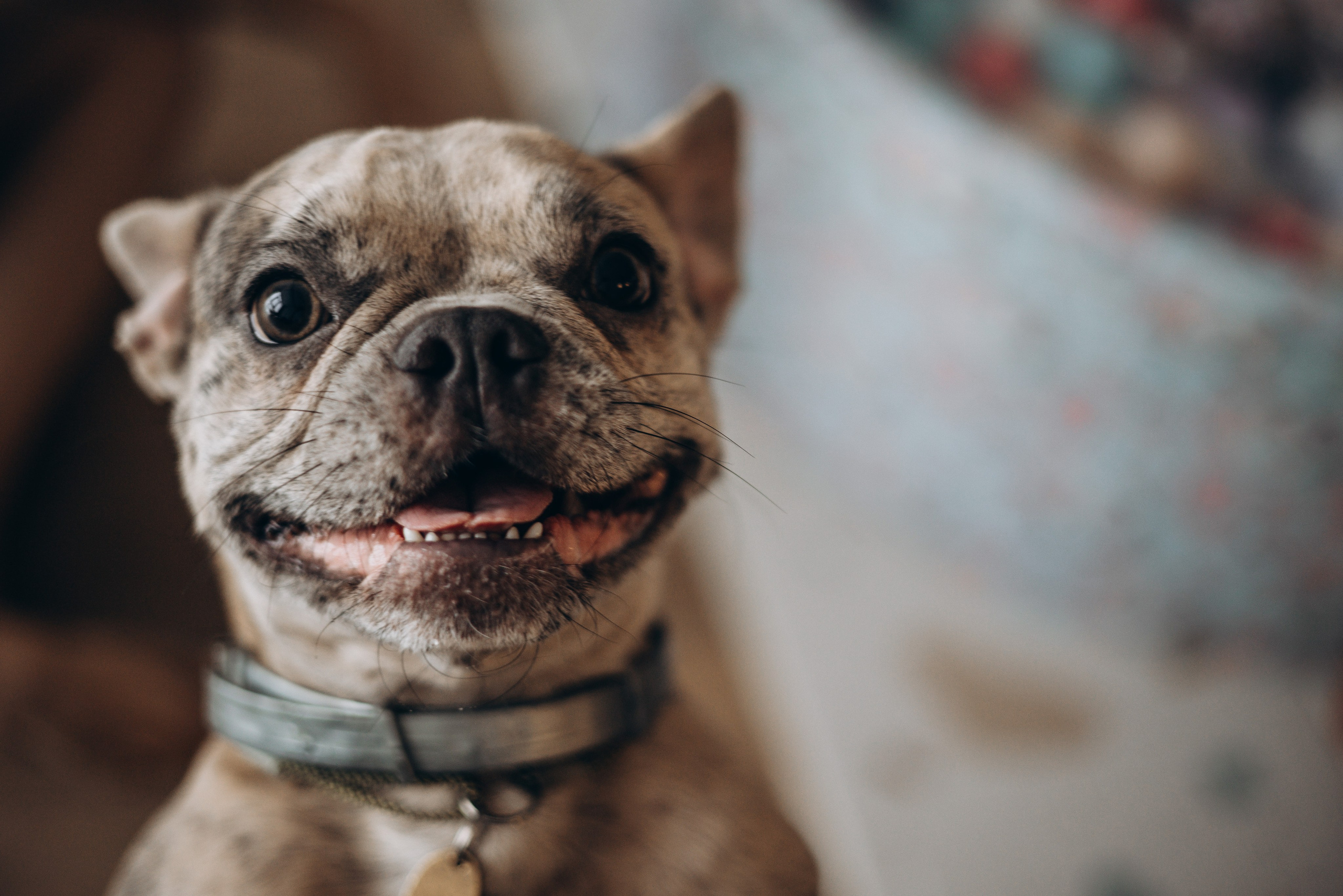 Соня и ее семья. Фотограф — Анималист | Санкт-Петербург