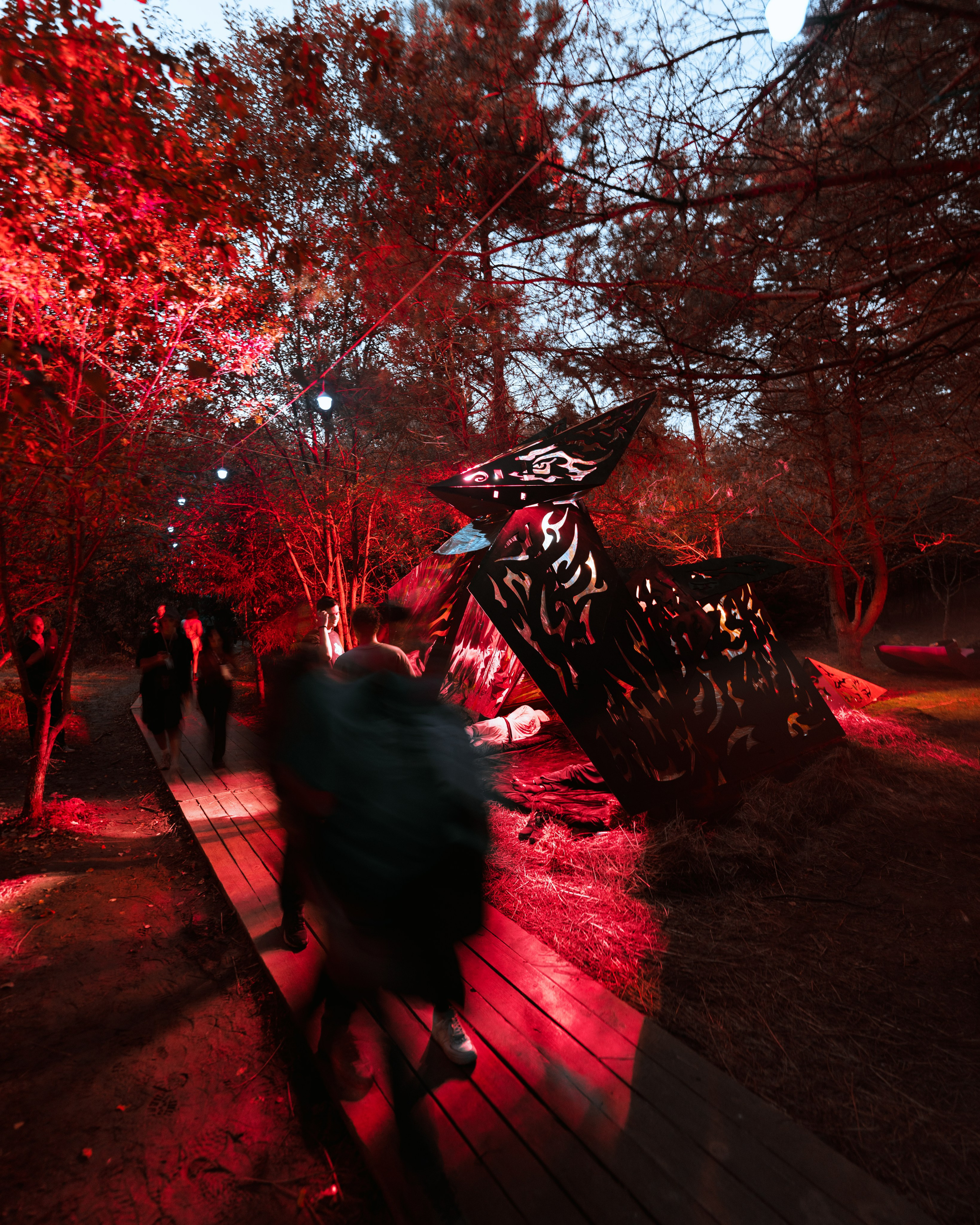 Signal 2024. @tomrus: Рустам Шагиморданов — фотограф