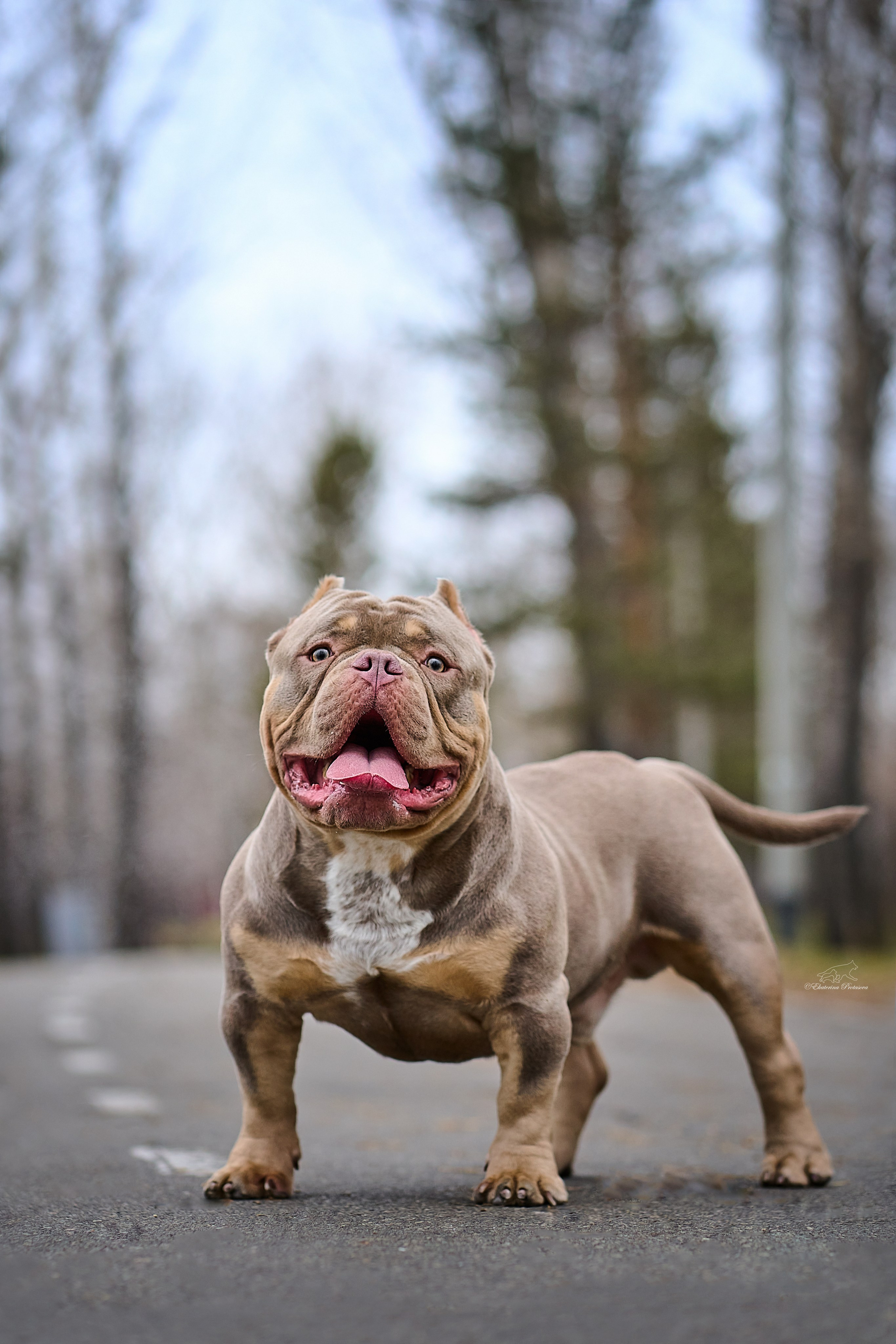 Обо мне. Фотограф-анималист в Иркутске