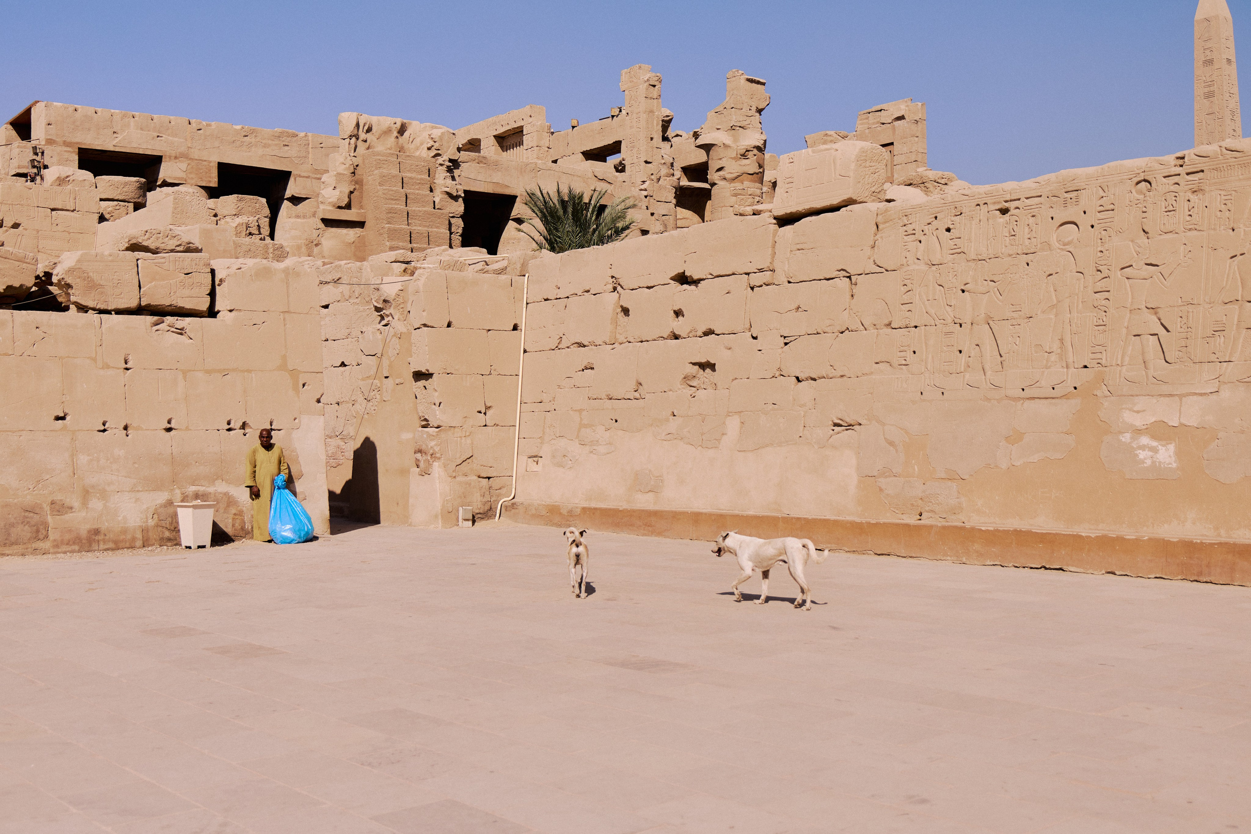 Другое 4. Jorgis — фотограф в Хургаде / обучение фотографии