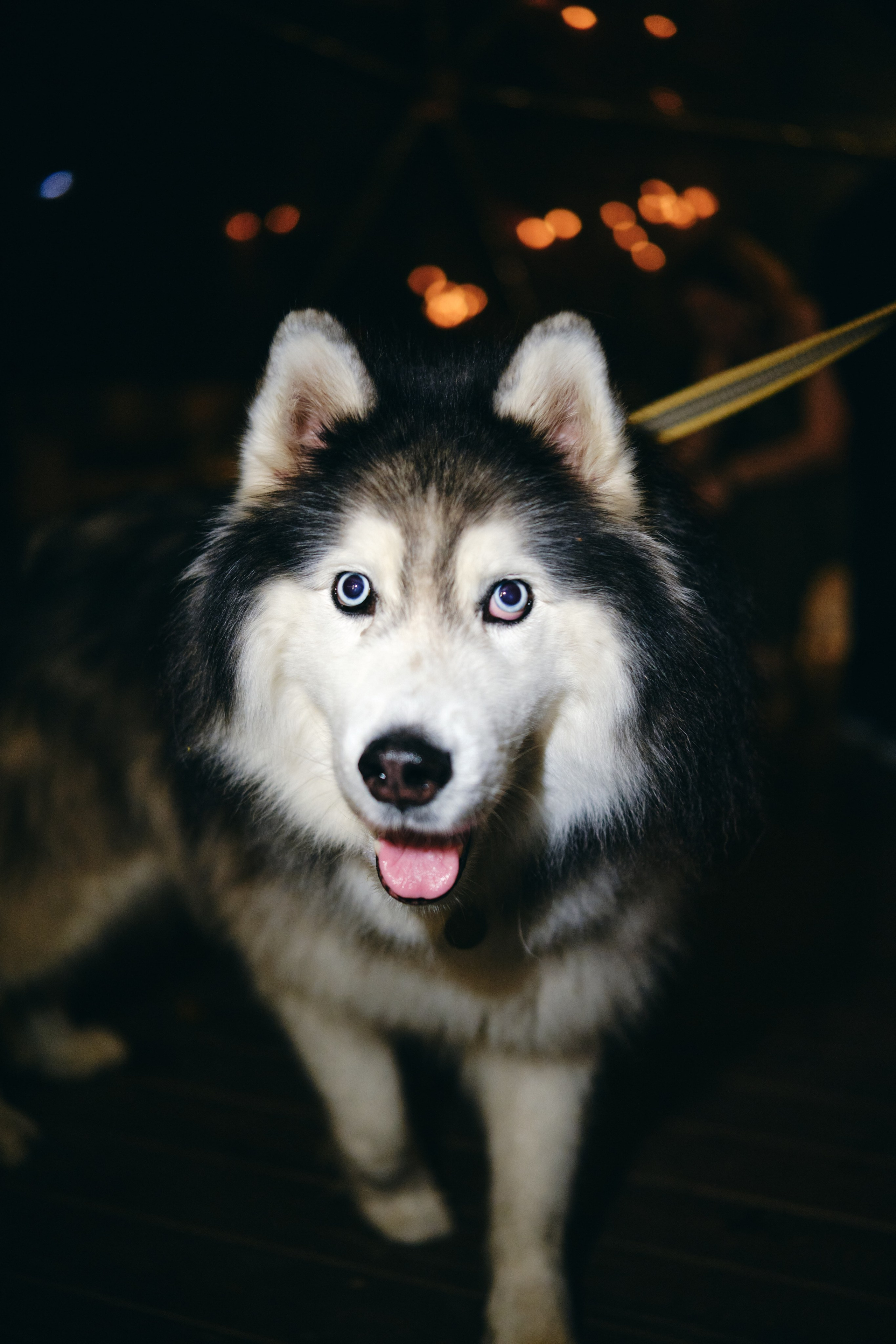 Сказочная свадьба Насти и Максима. Главная