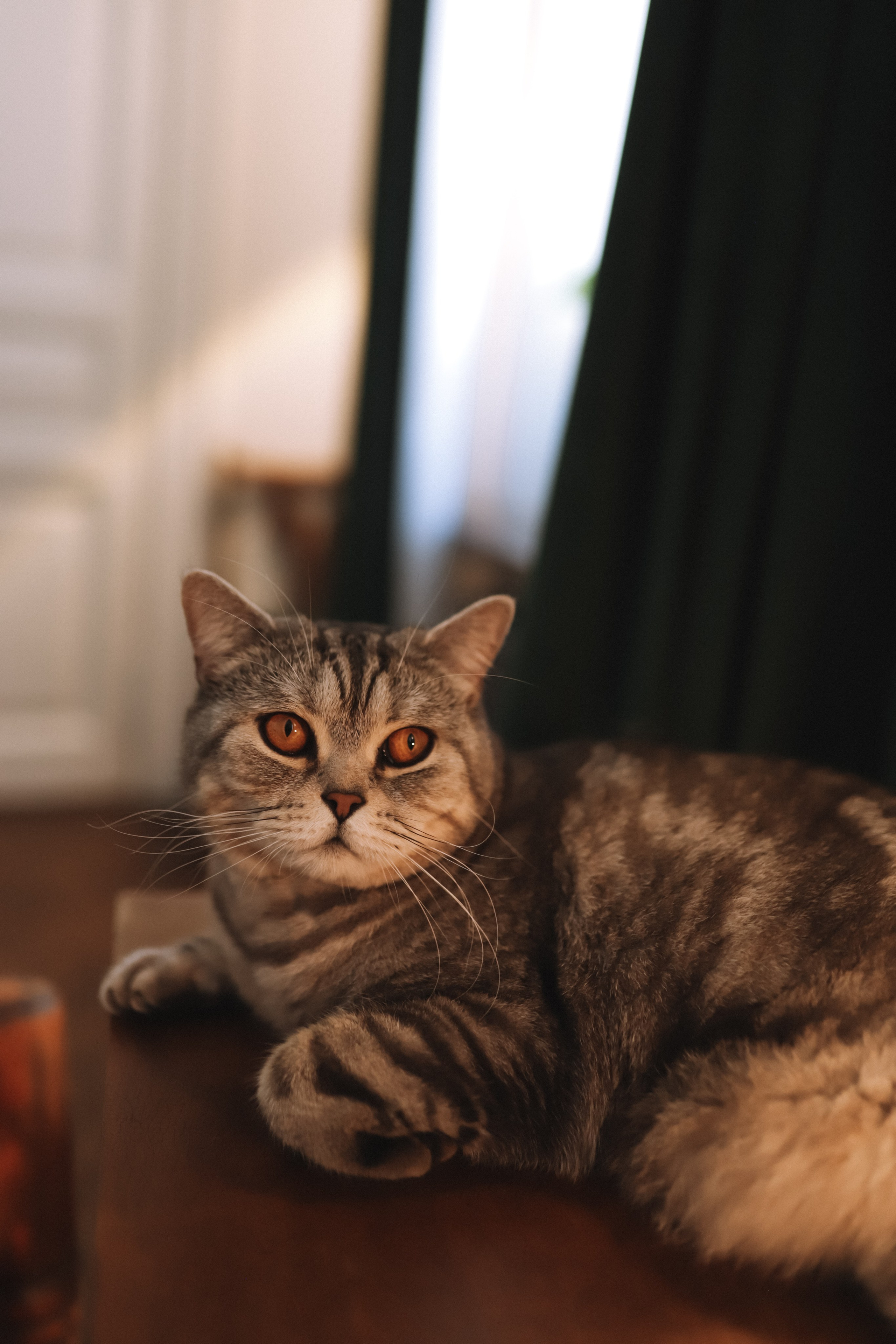 Саша. Фотограф в Нижнем Новгороде Кристина Батанова