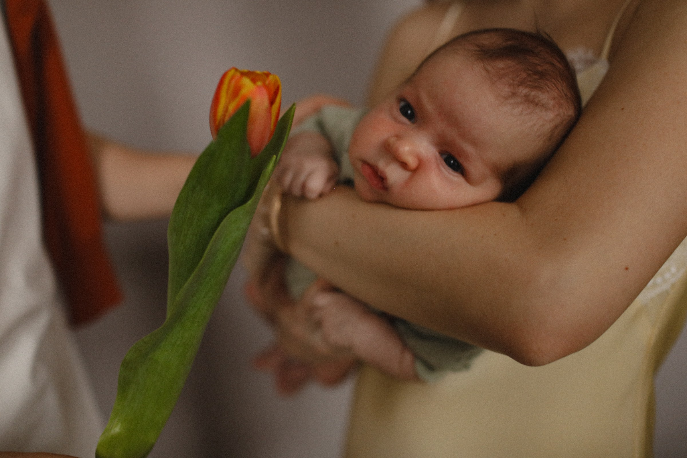 Про Сашу, Илью и их крошку. Семейный фотограф в Москве Алевтина Носова