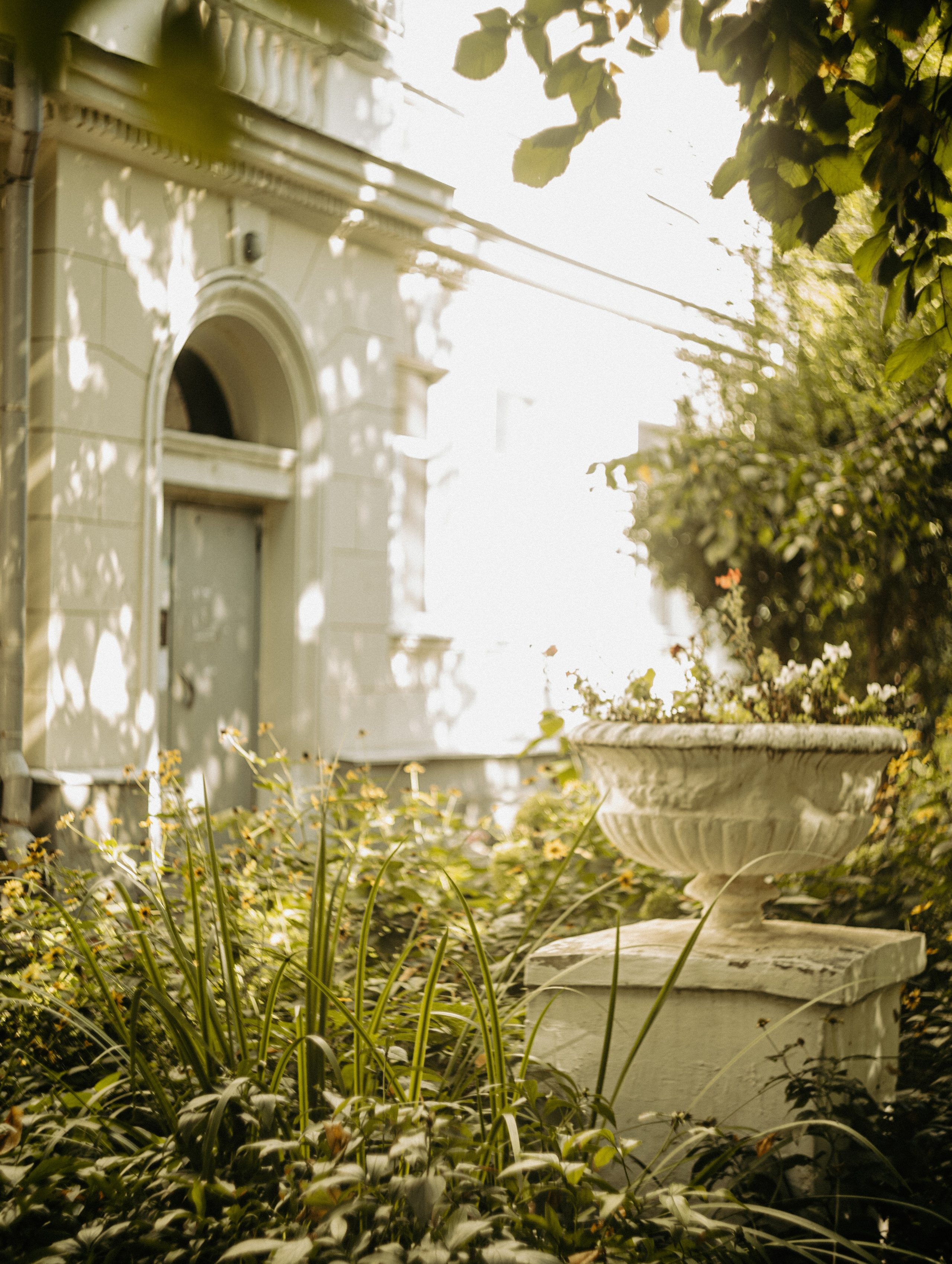 Wallpapers. Фотограф Казань