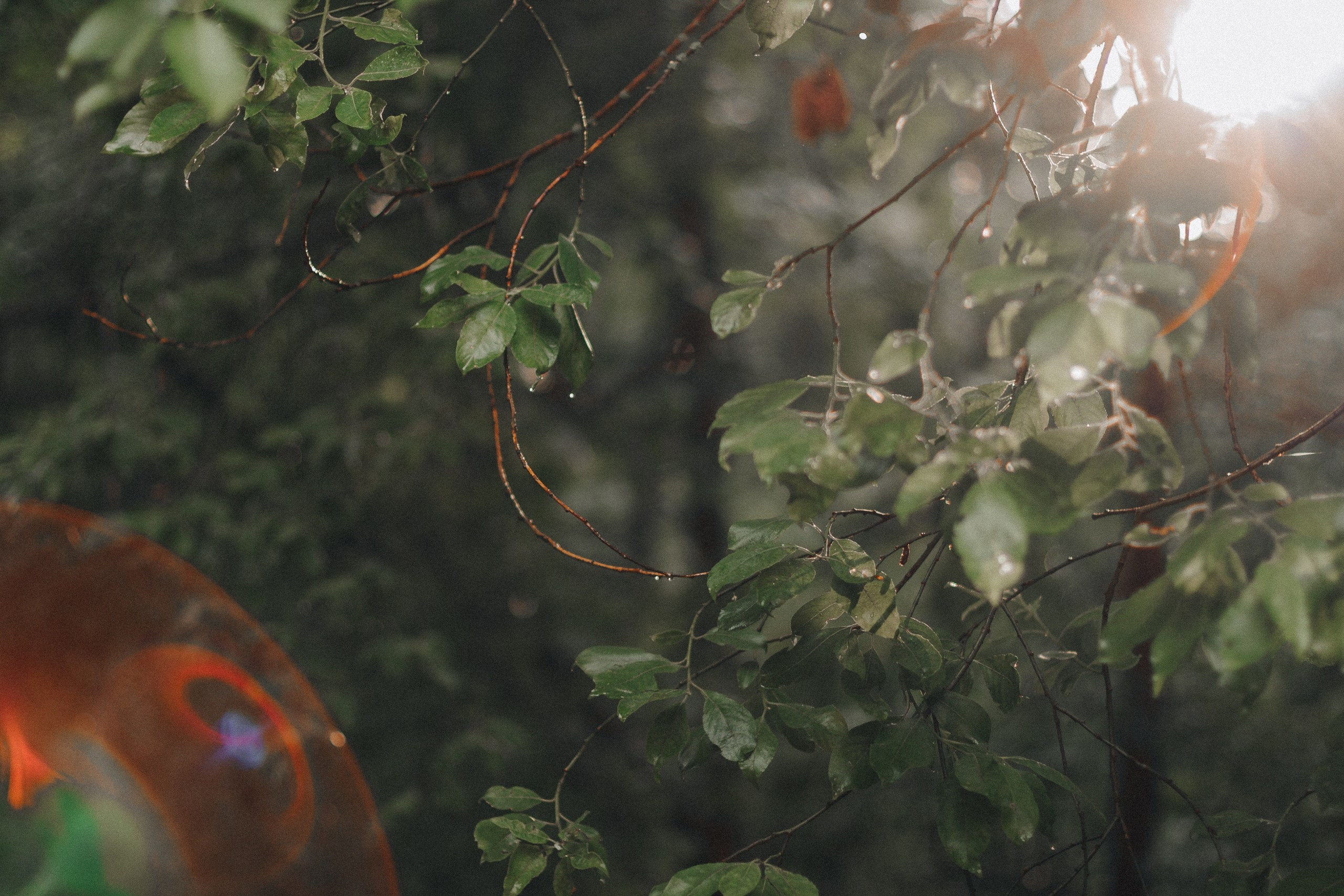 Шашлыки с ночевкой | 20-21.06.20. Галерея Фантим