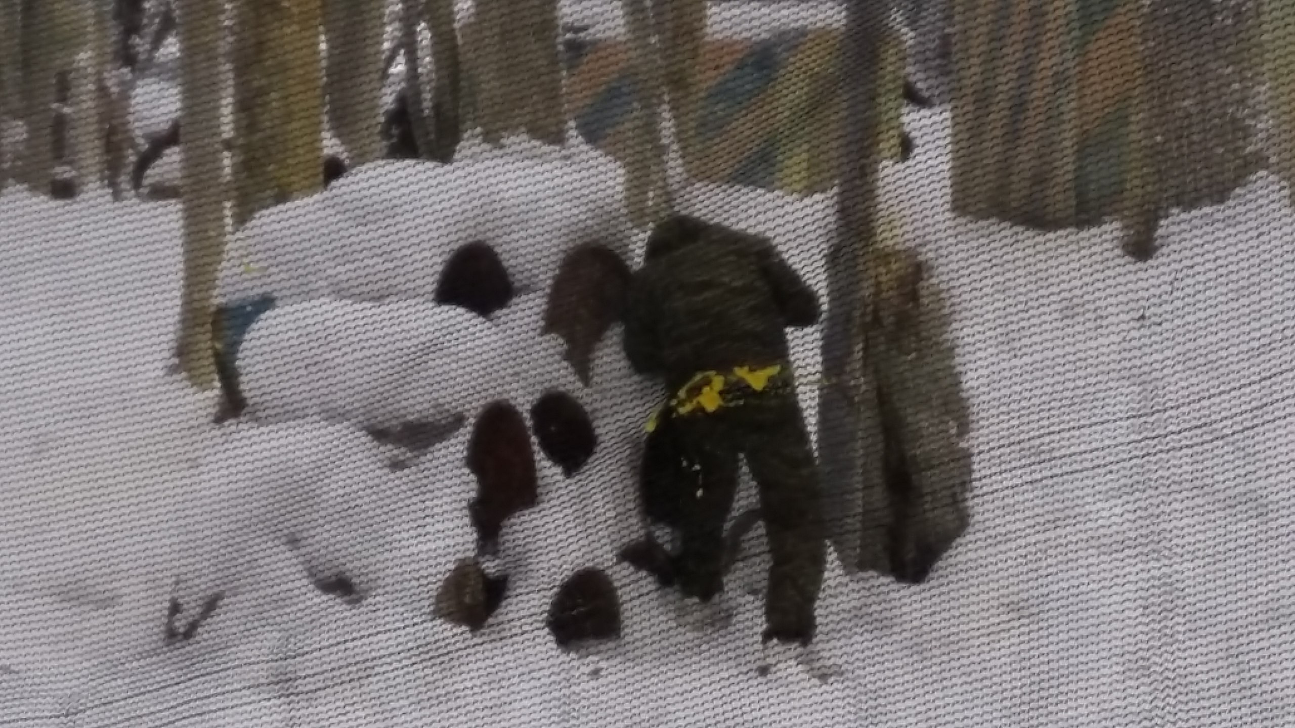 Пейтбольная битва | 17.12.2016. Галерея Фантим