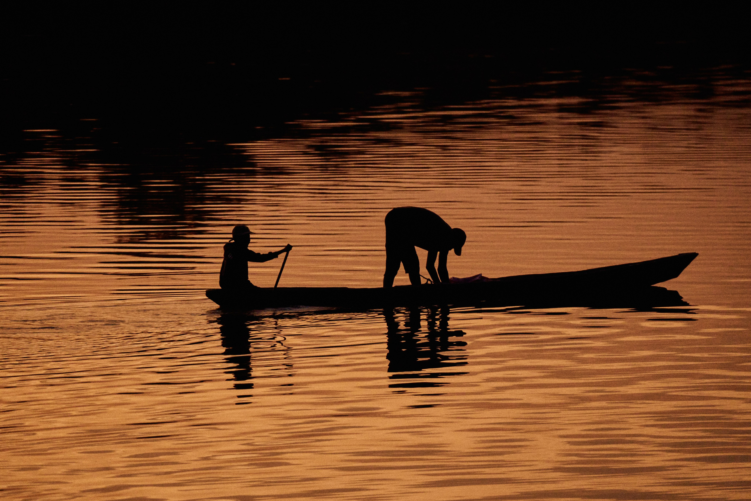 Gambia River. See the moment and catche. commercial and reportage
