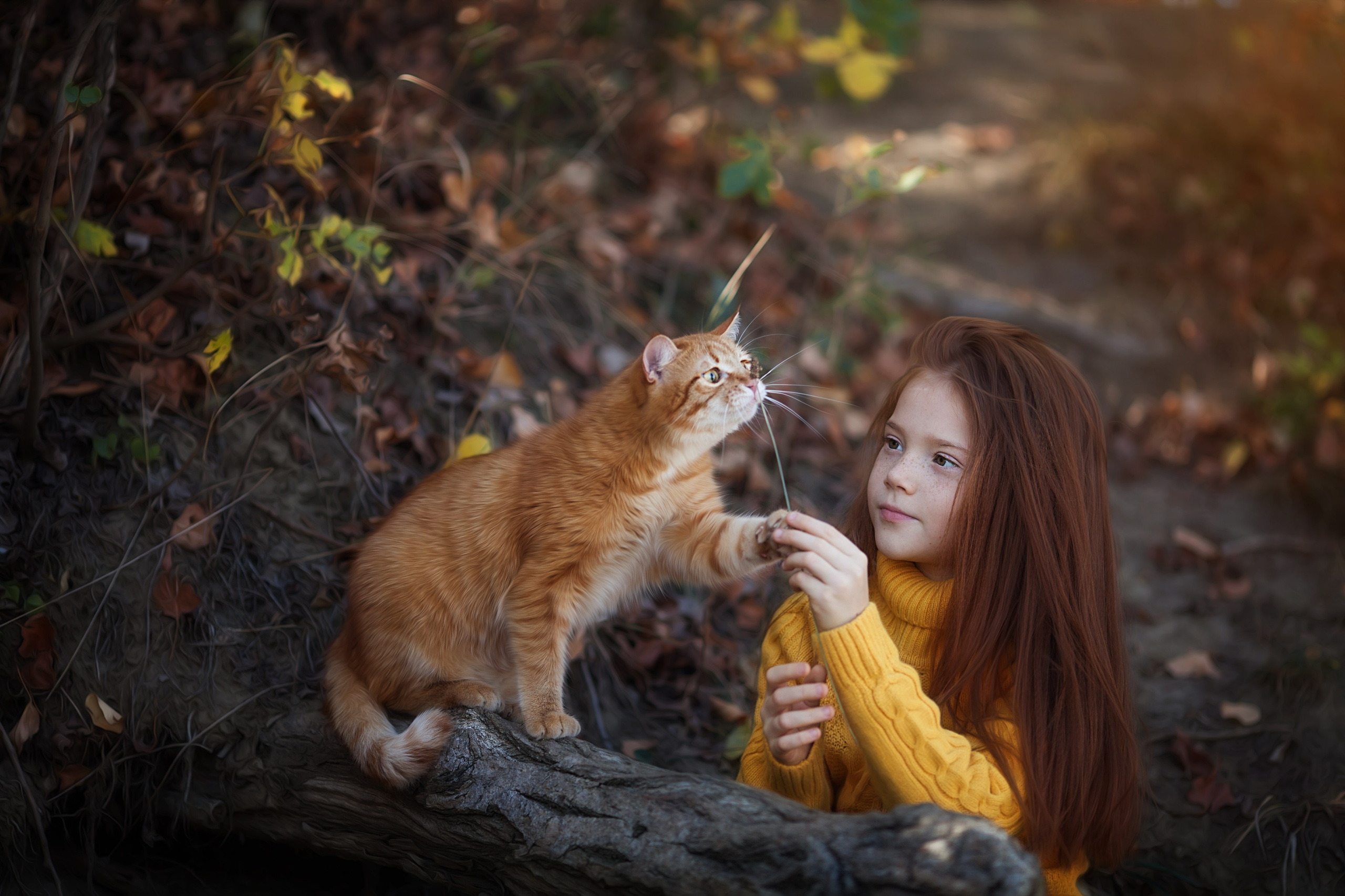 Семья. Семейный и детский фотограф в Краснодаре Брусилова Марина