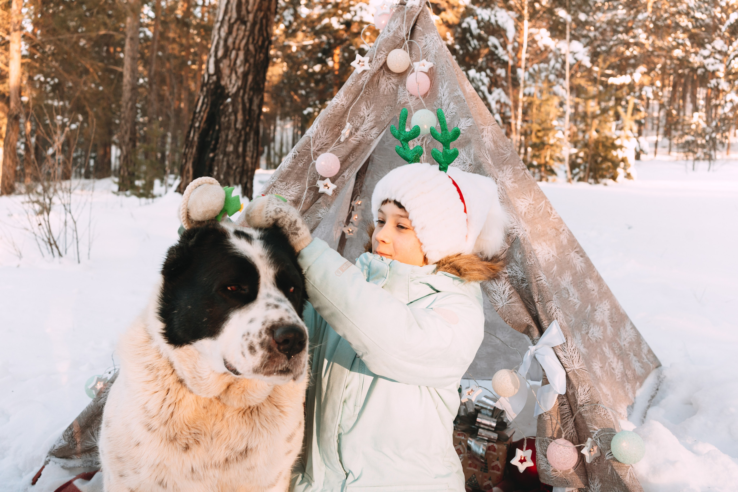 Г. Миасс 2023-2024. Фотограф-анималист Анастасия Большакова