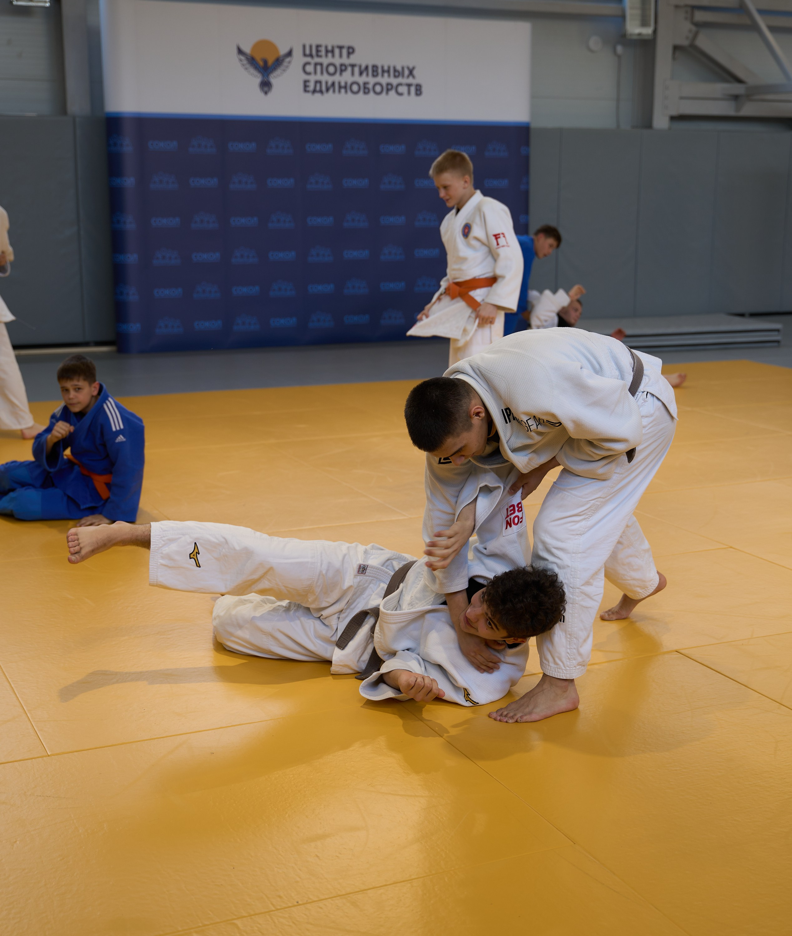 Открытие центров спортивных единоборств «Сокол» Красноярск/Дивногорск. Александр Сазонов Красноярск