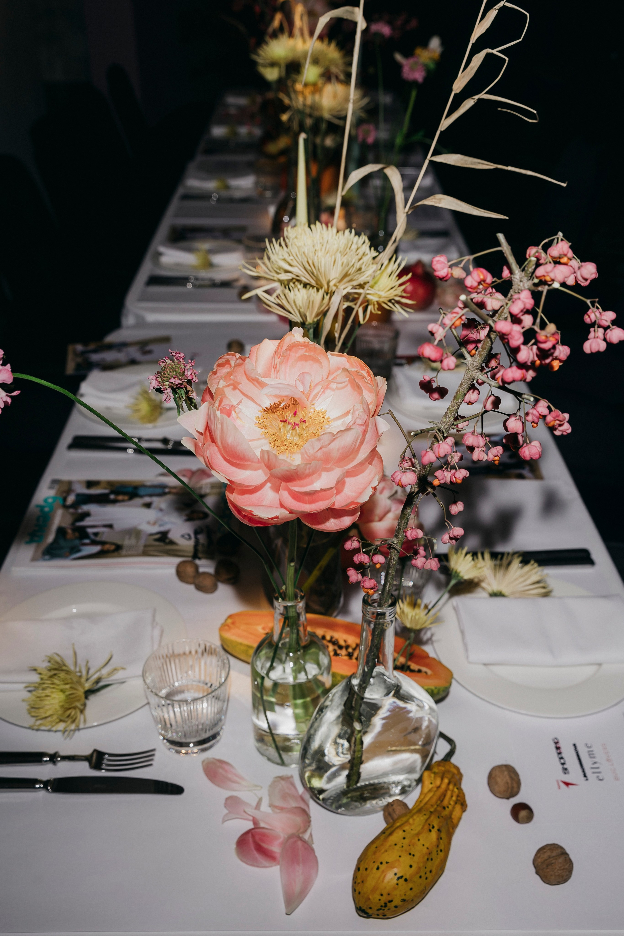 Лина Дембикова & the VOICE Shopping, Rocky2. «Птичка на проводе»: информационный портал в Москве