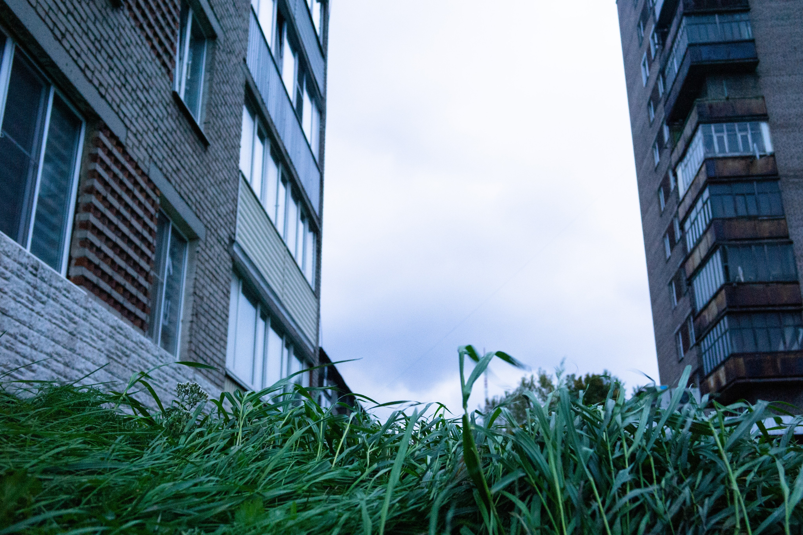 Сентябрь 2025. Den Mirov — Фотограф, Музыкант