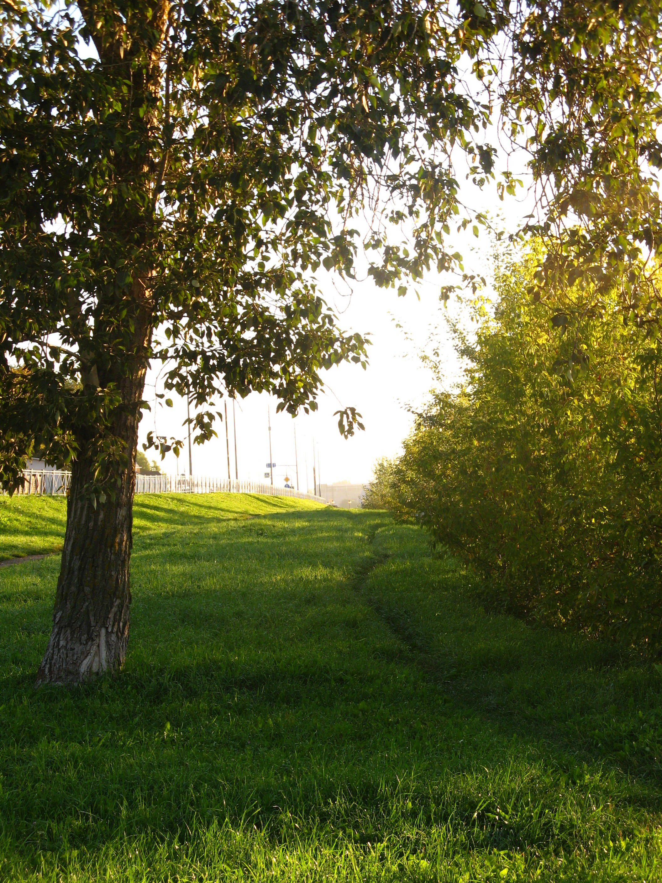 Сентябрь 2025. Den Mirov — Фотограф, Музыкант