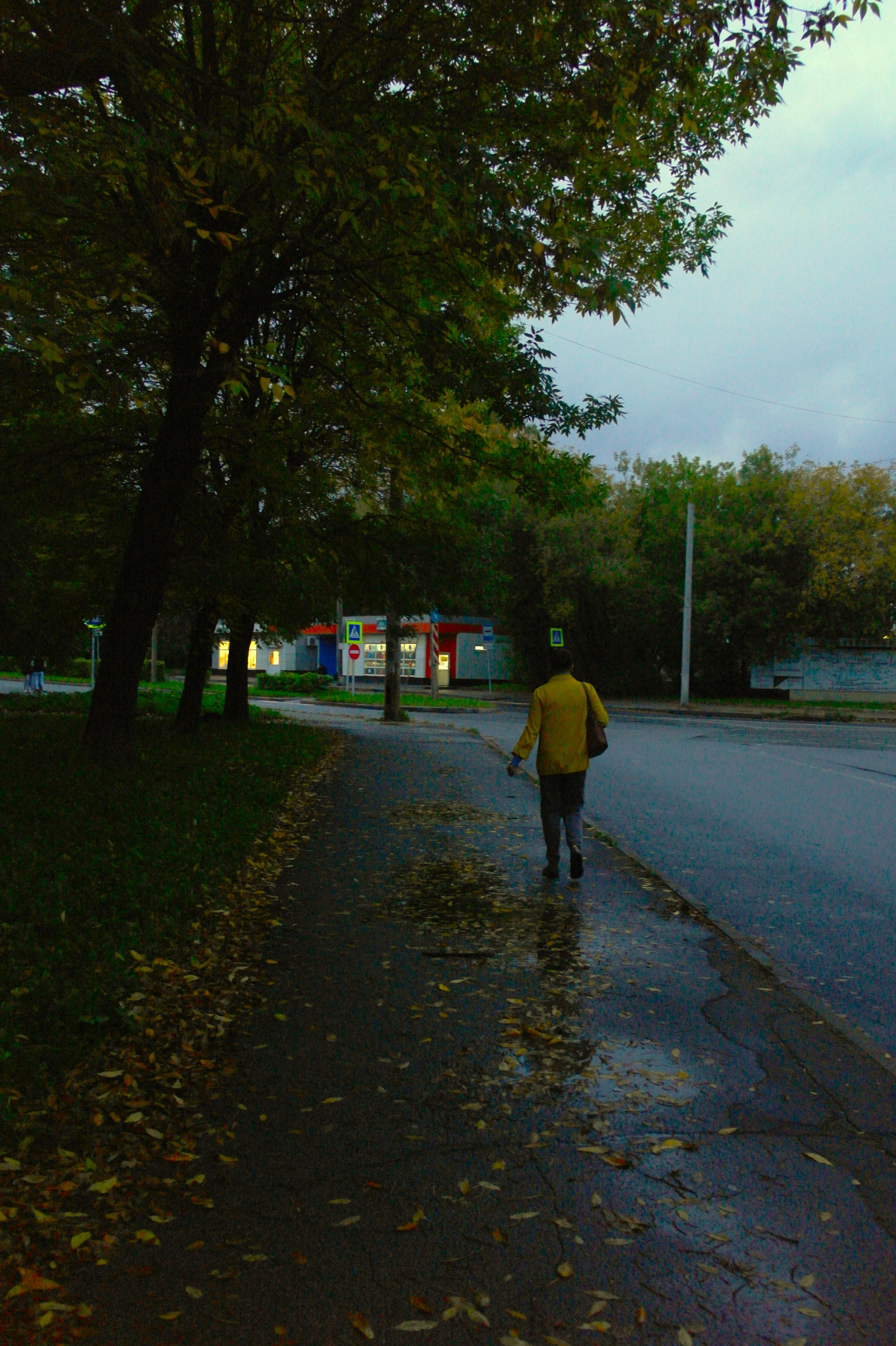 Сентябрь 2025. Den Mirov — Фотограф, Музыкант