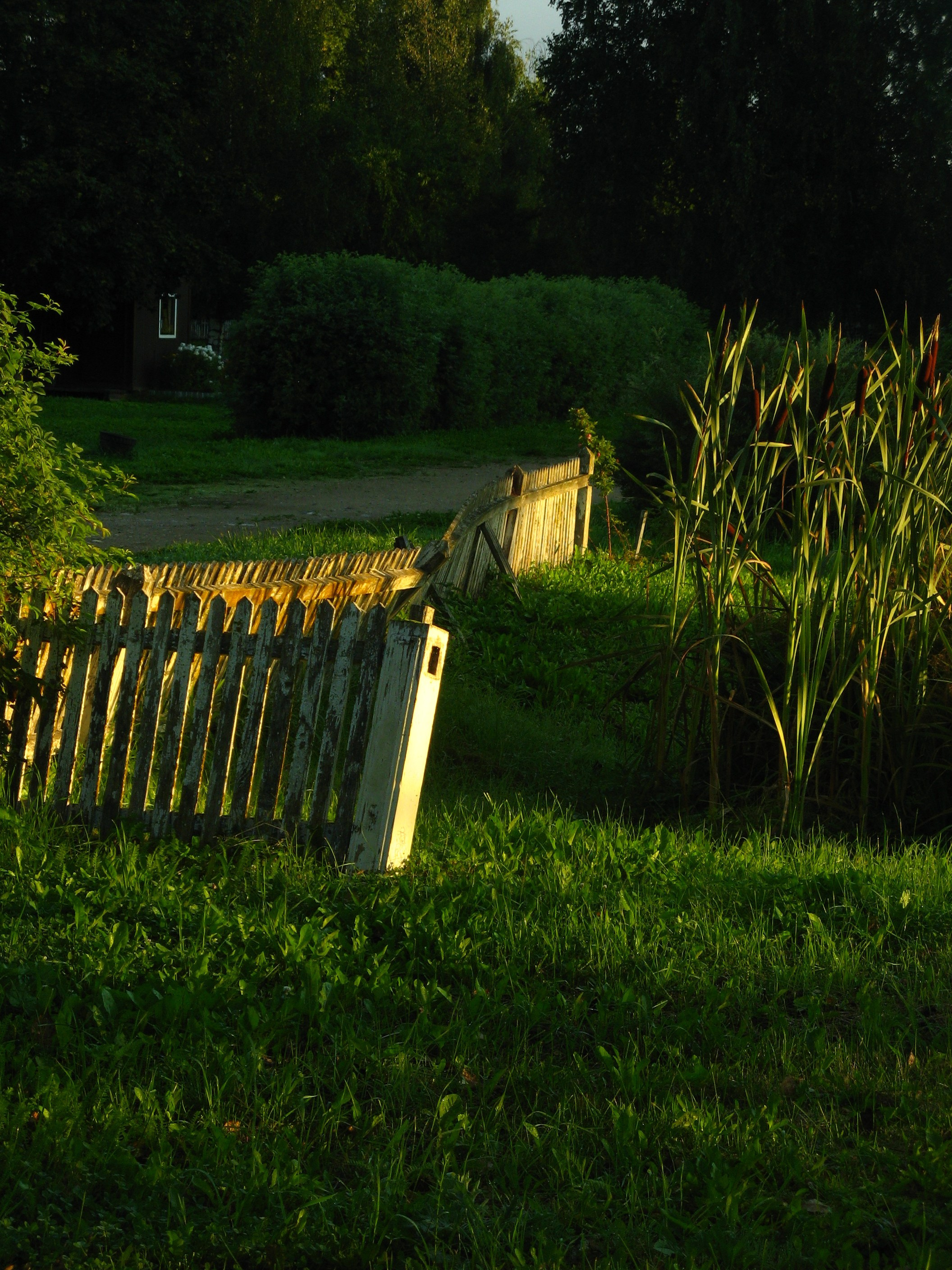 Август 2025. Den Mirov — Фотограф, Музыкант