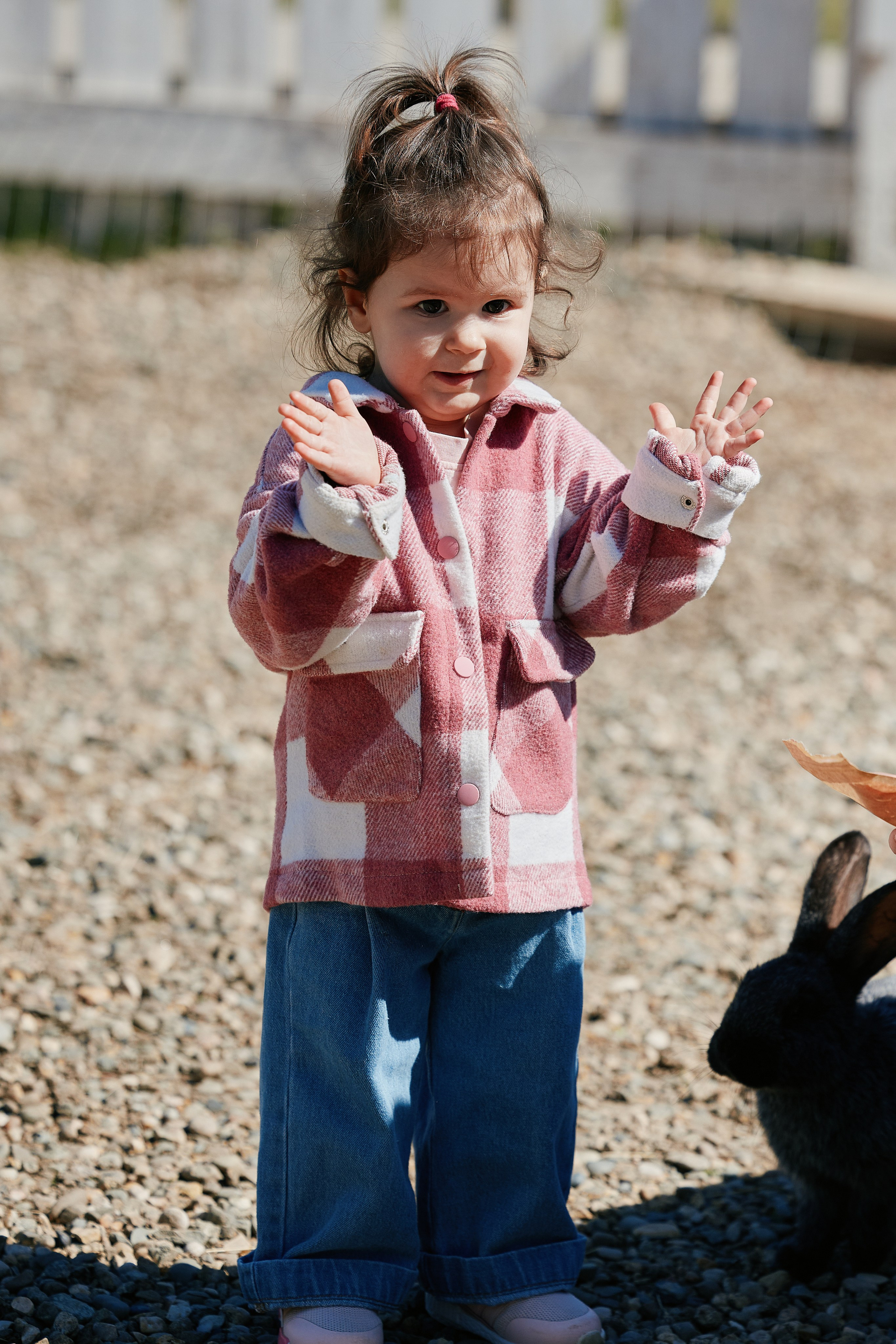 PRIVATE Weekend на Ферме Альпак 19.04. Свадебный репортажный фотограф краснодар максим дремов дрёмов фотосессия студия цена