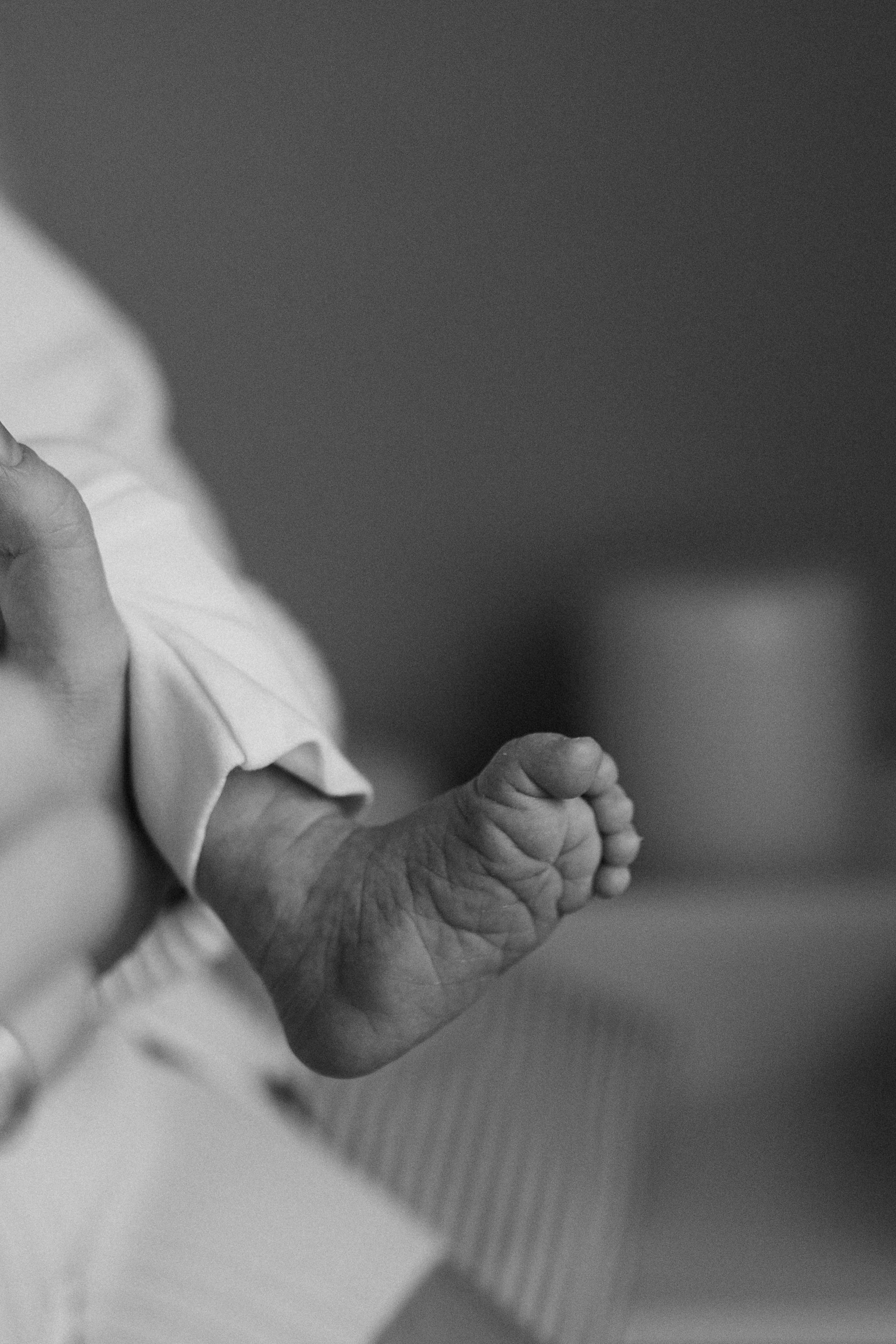 Даша, Ваня, Лео. Семейный фотограф Москва