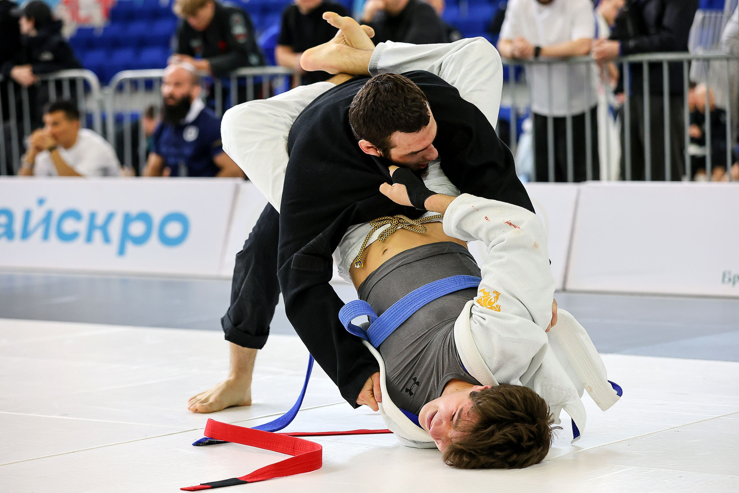 BJJ. Спортивный фотограф в Нижнем Новгороде и Сочи Ангелина Ильичева