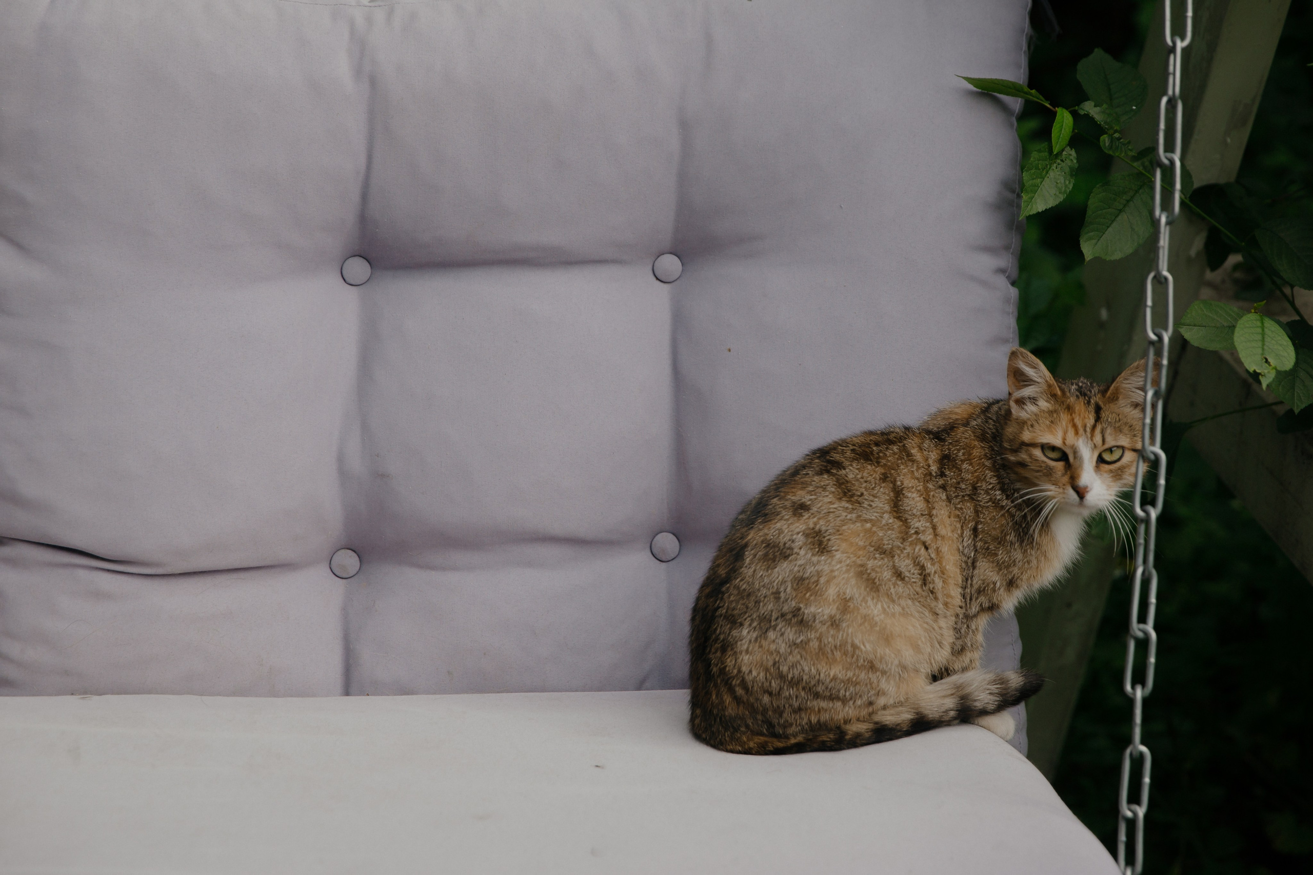 16.06.2024. RETOUCH-HOUSE