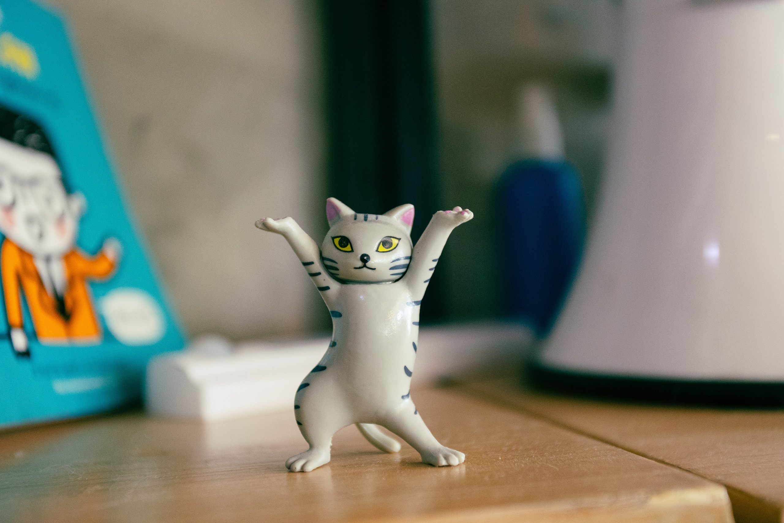 Cazz Cafe. Фотограф Сонкина Татьяна